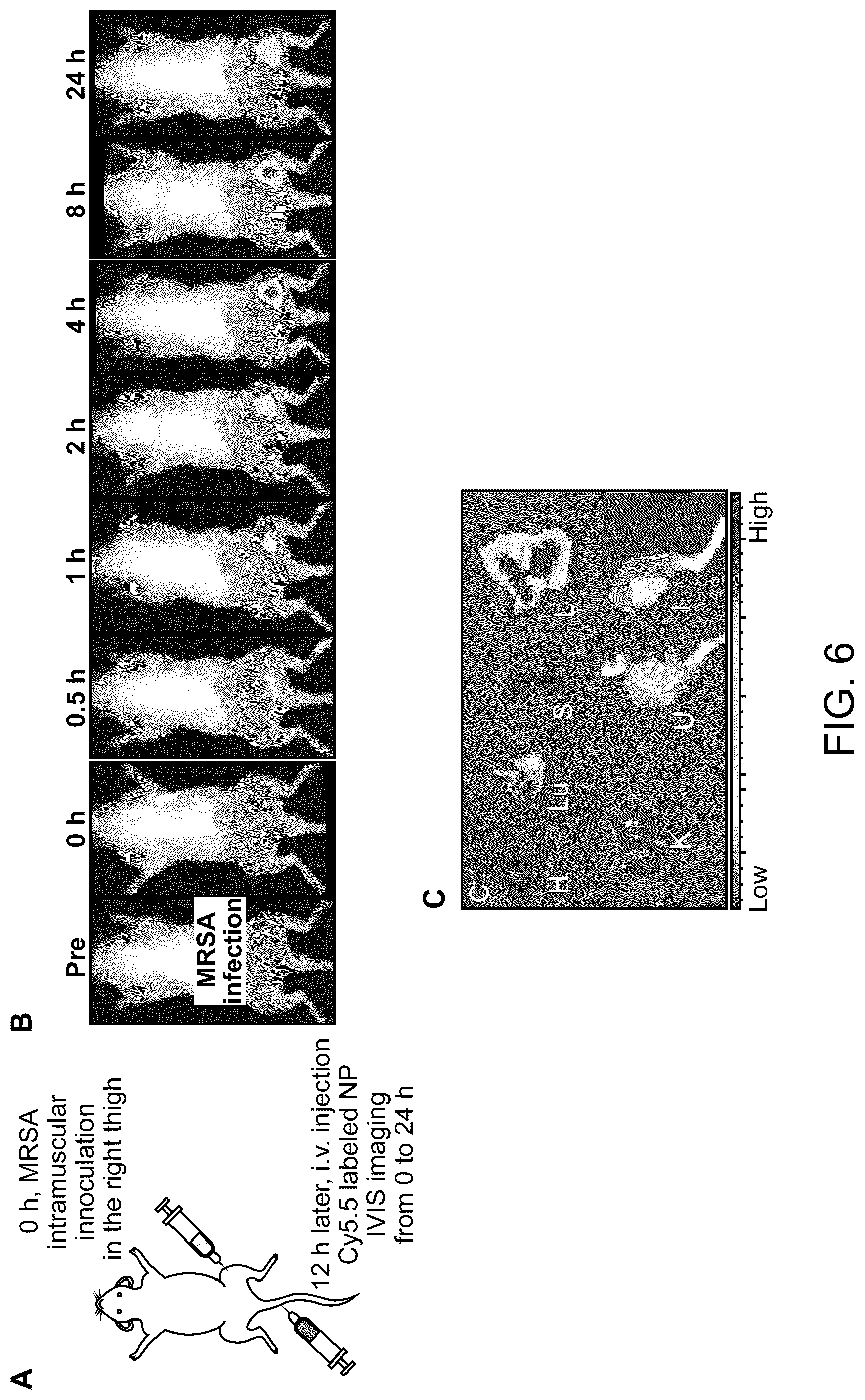 Patent US12377052 Figure 13 – Dual-responsive nanoparticles for enhanced antibacterial efficacy