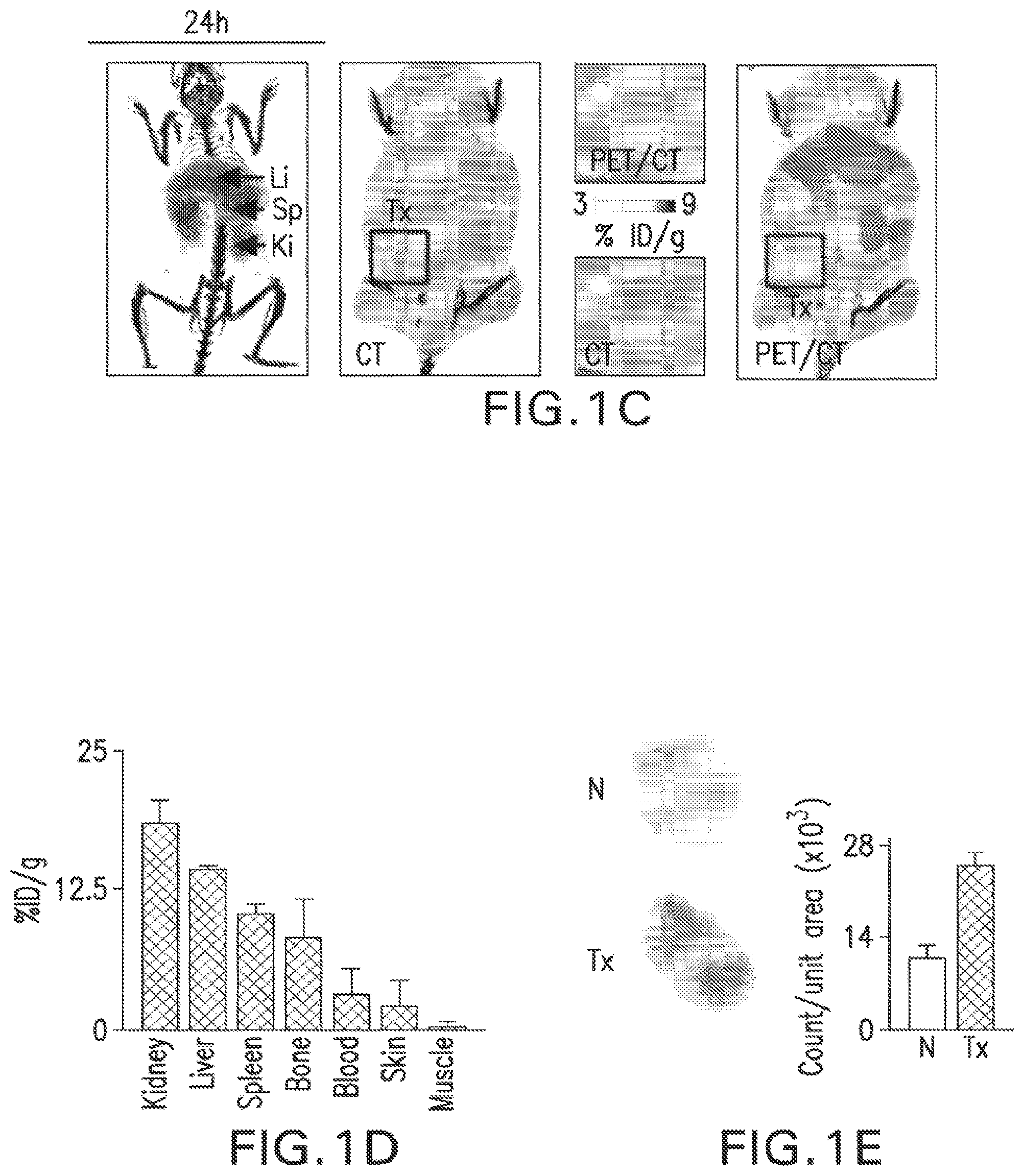 Patent US12377054 Figure 2 – Targeting the innate immune system to induce long-term tolerance and to resolve macrophage accumulation in atherosclerosis
