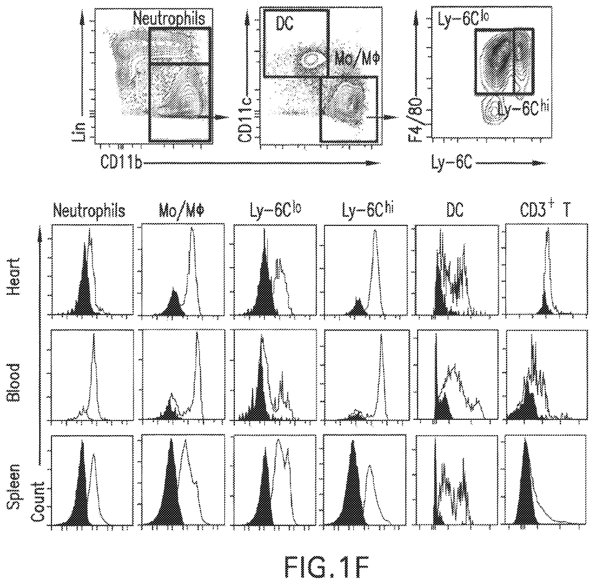 Patent US12377054 Figure 3 – Targeting the innate immune system to induce long-term tolerance and to resolve macrophage accumulation in atherosclerosis