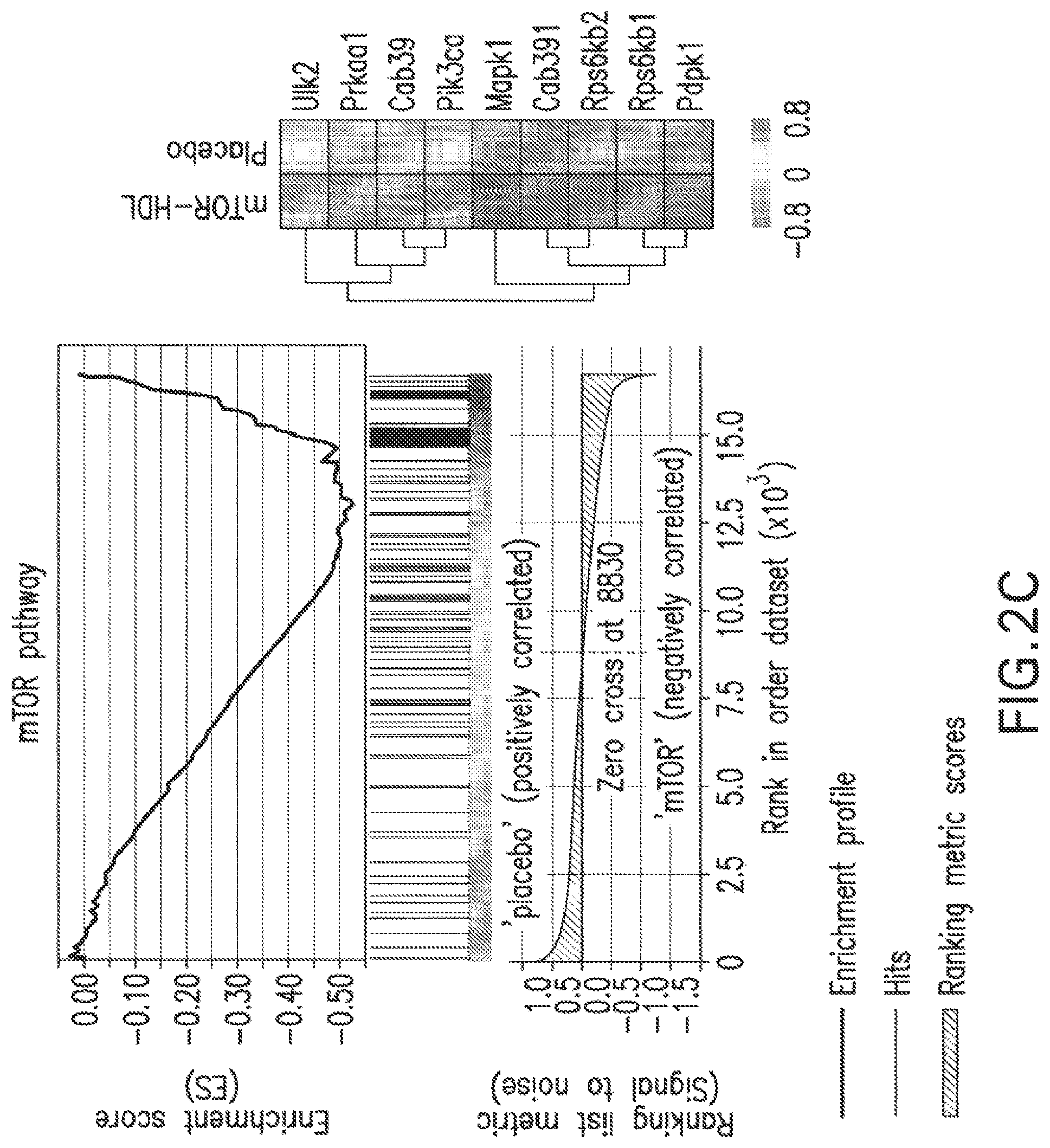Patent US12377054 Figure 6 – Targeting the innate immune system to induce long-term tolerance and to resolve macrophage accumulation in atherosclerosis