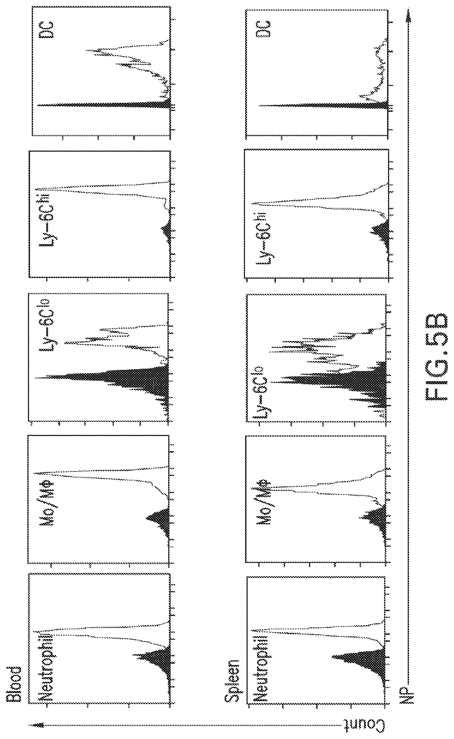 Patent US12377054 Figure 13 – Targeting the innate immune system to induce long-term tolerance and to resolve macrophage accumulation in atherosclerosis