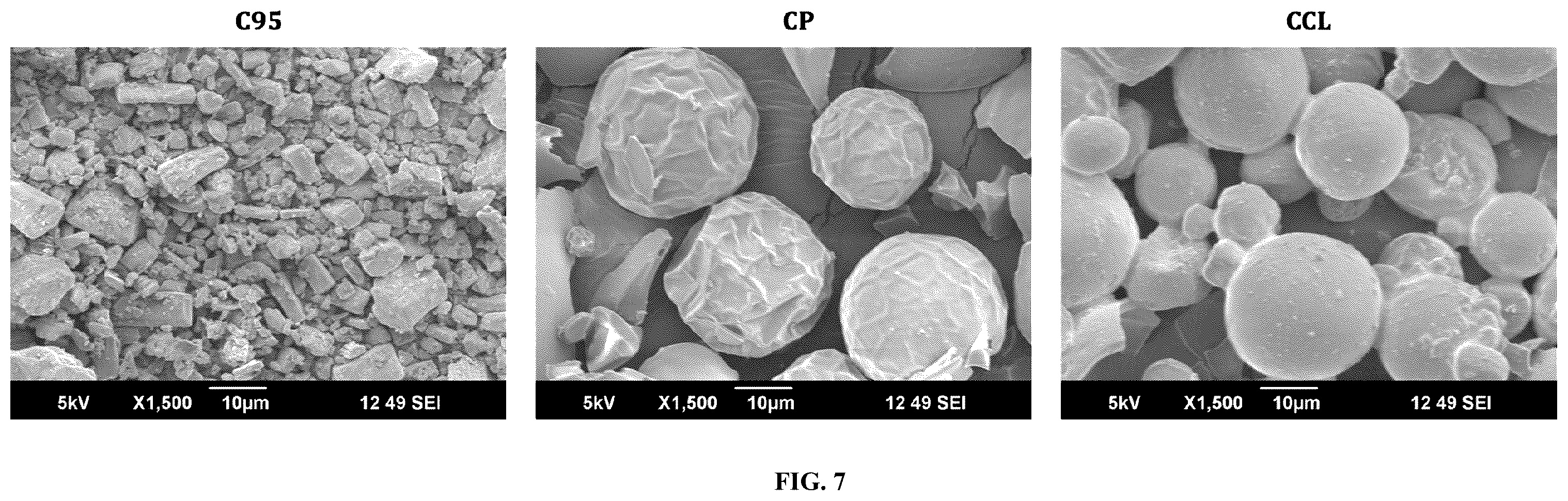 Patent US12377059 Figure 10 – Complexes comprising collagen peptides and curcuminoids and compositions thereof