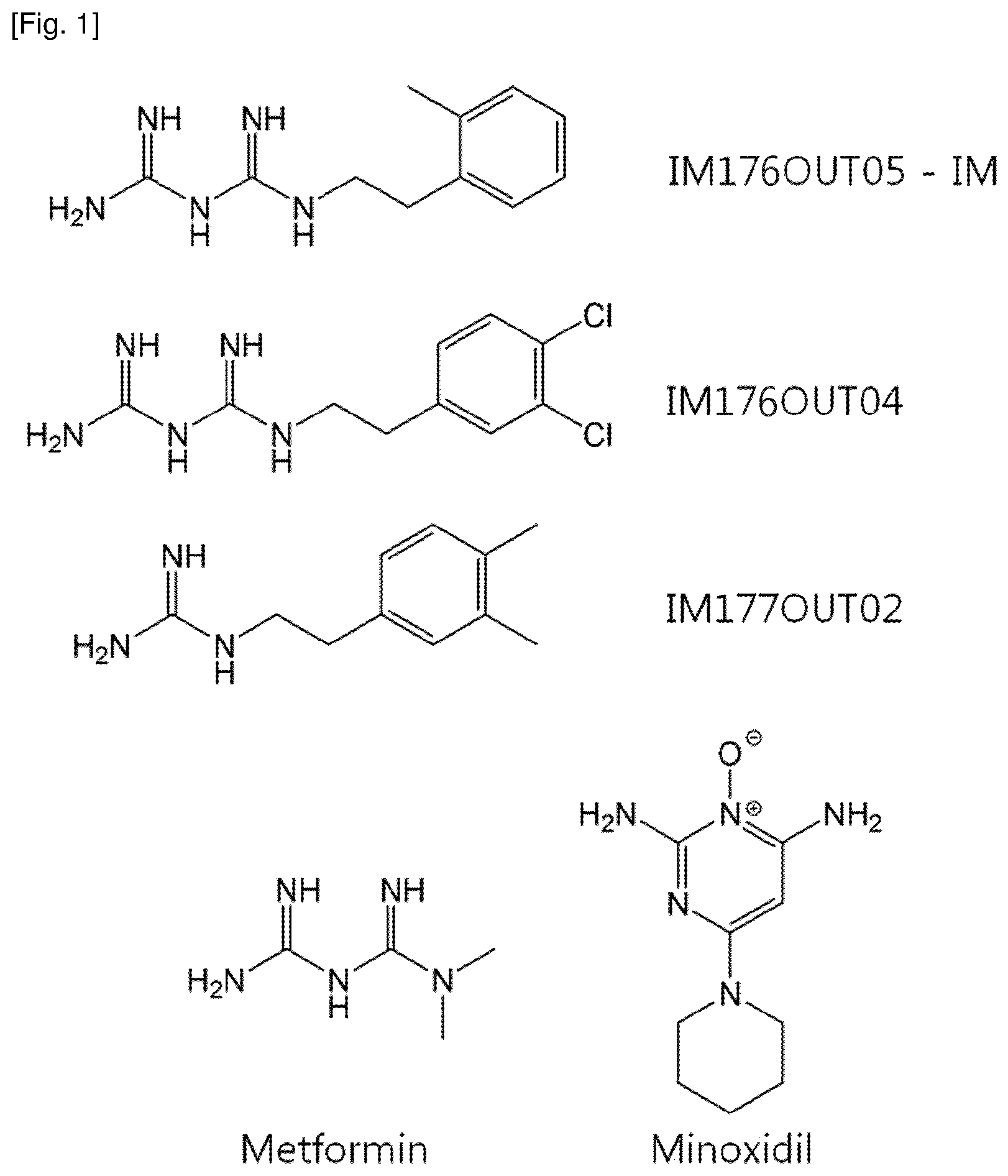 Patent US12377061 Figure 1 – Composition for promoting hair growth comprising a guanine derivative