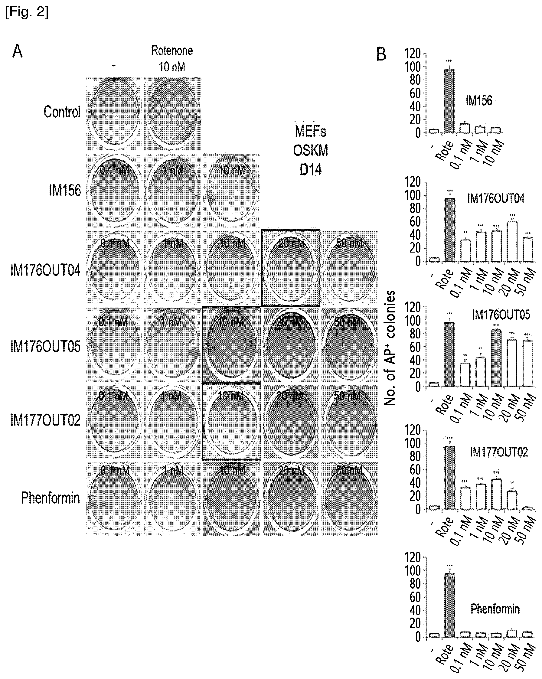 Patent US12377061 Figure 2 – Composition for promoting hair growth comprising a guanine derivative