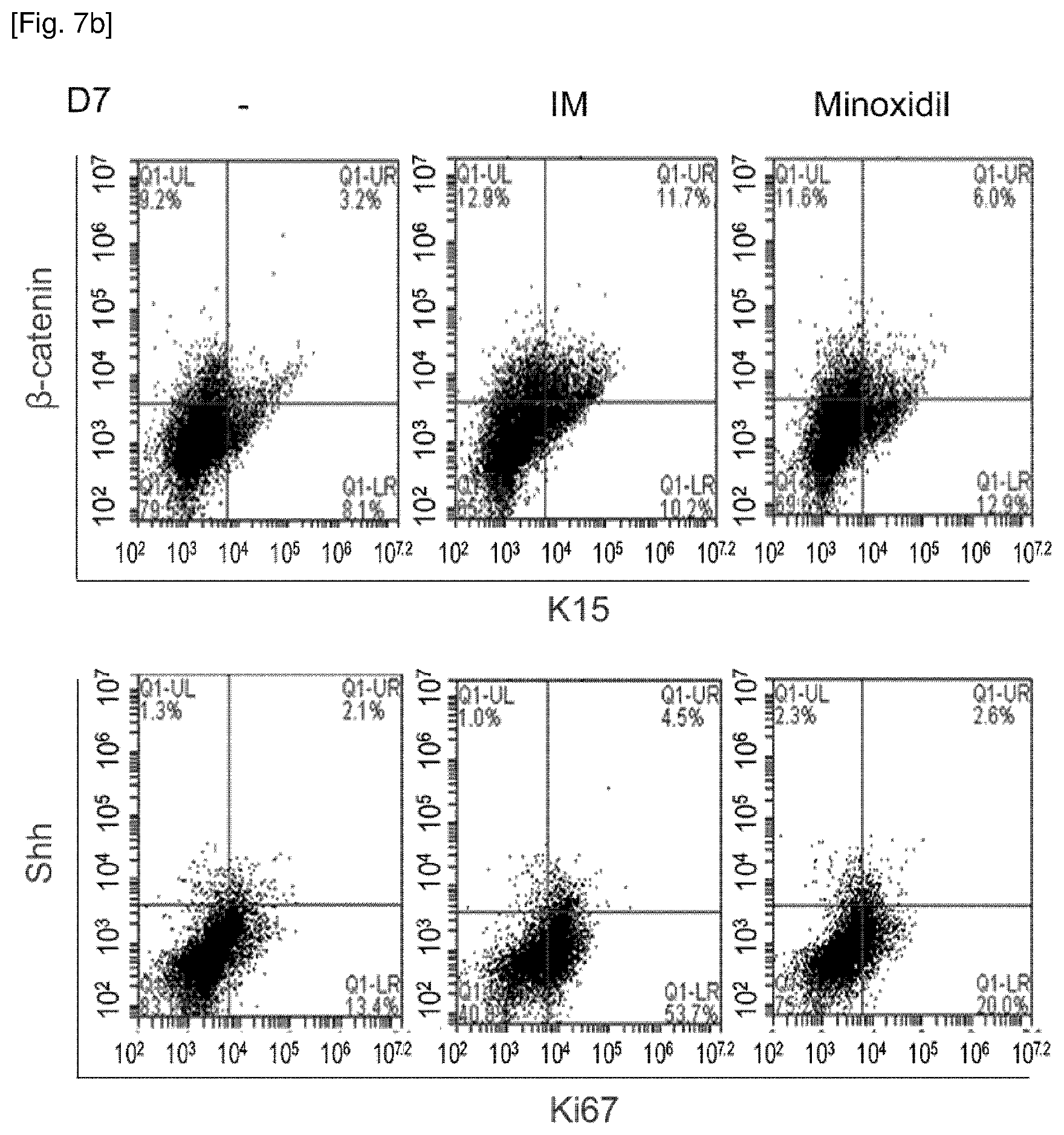 Patent US12377061 Figure 11 – Composition for promoting hair growth comprising a guanine derivative