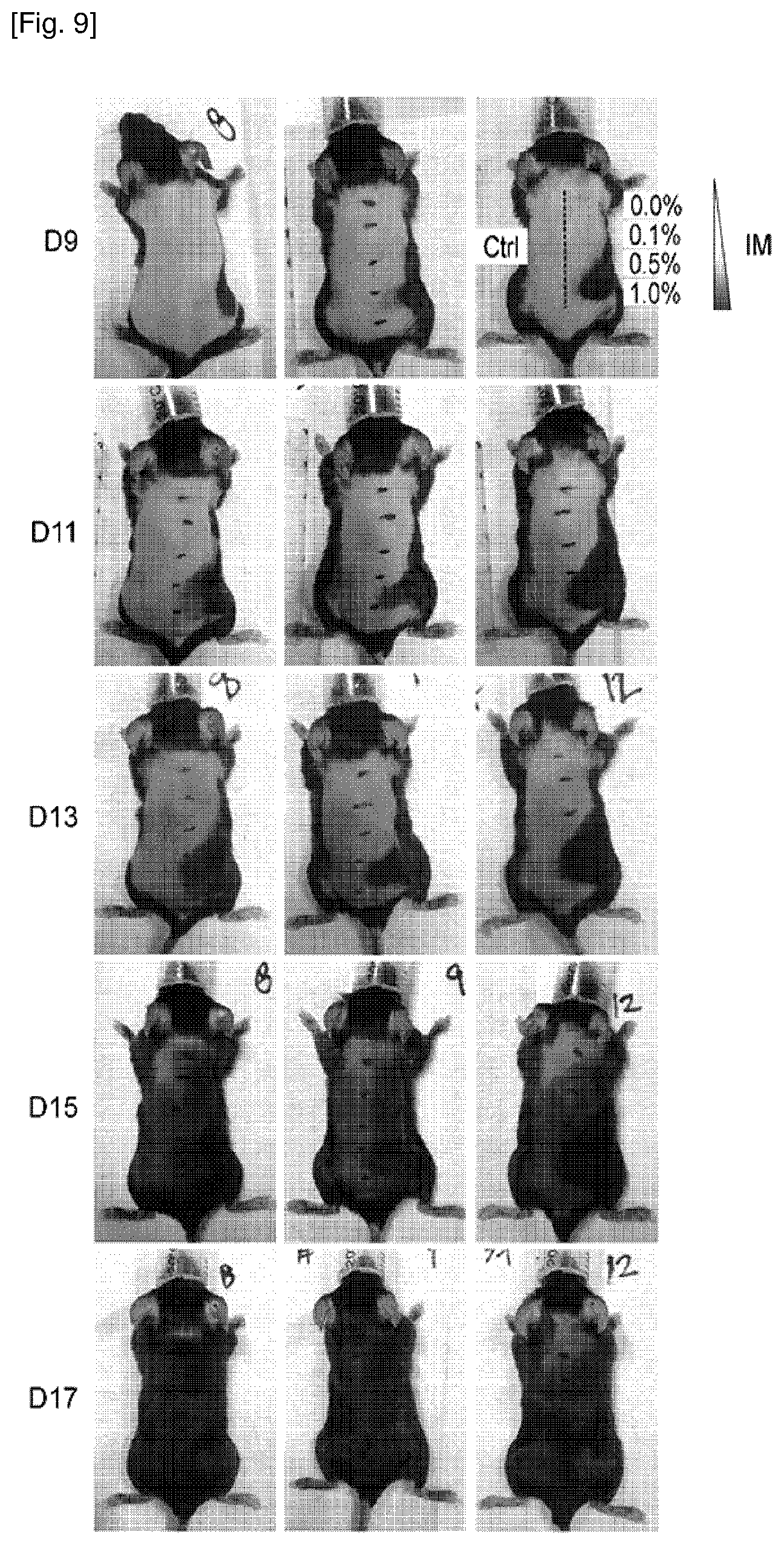 Patent US12377061 Figure 17 – Composition for promoting hair growth comprising a guanine derivative