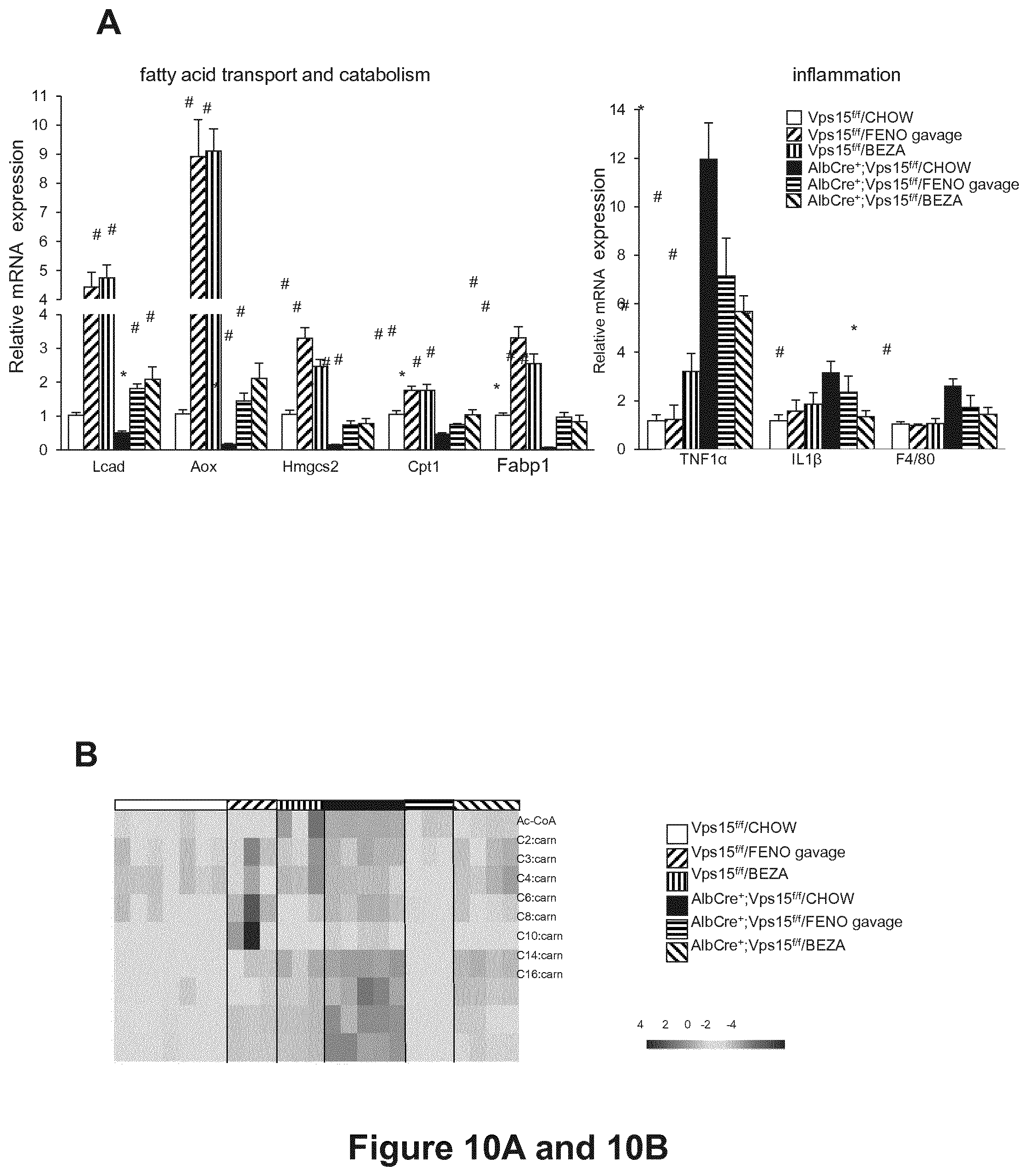 Patent US12377066 Figure 10 – Treatment of diseases associated with biliary system destruction