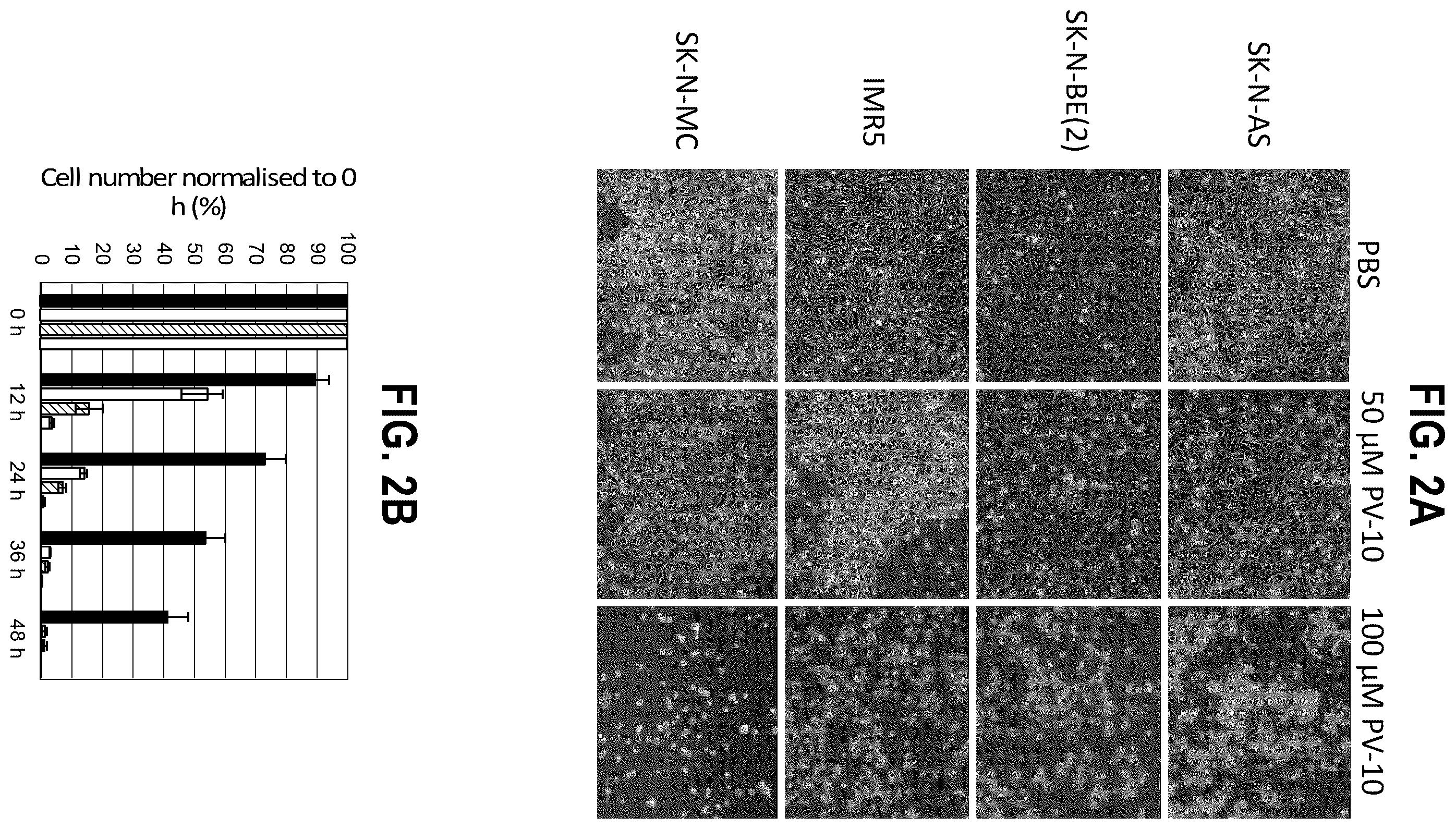 Patent US12377068 Figure 2 – In vitro and xenograft anti-tumor activity of a halogenated-xanthene against refractory pediatric solid tumors