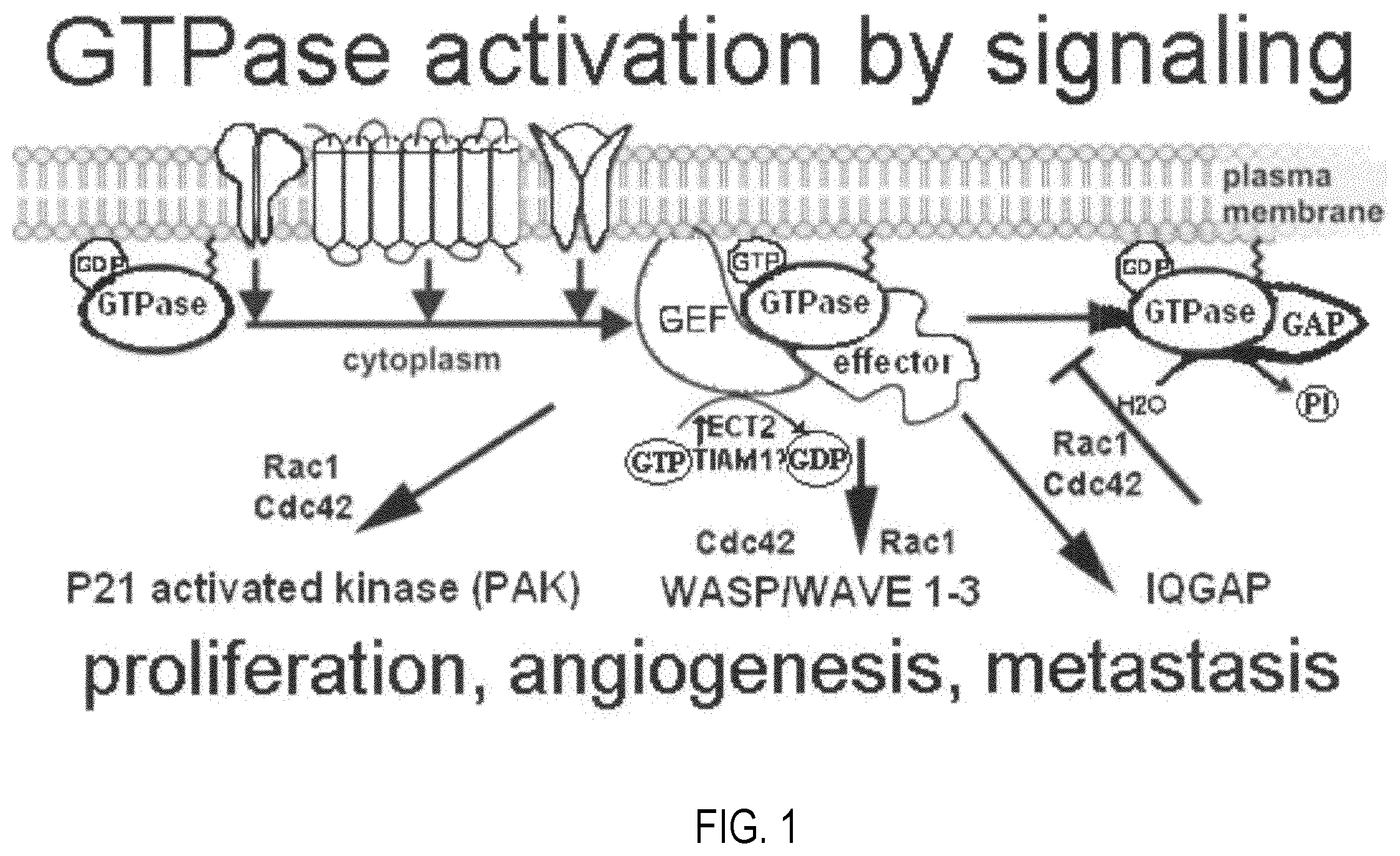 Patent US12377072 Figure 1 – Modulators of GTPases and their use