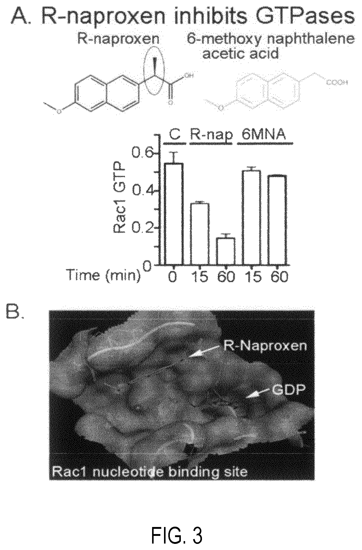 Patent US12377072 Figure 3 – Modulators of GTPases and their use