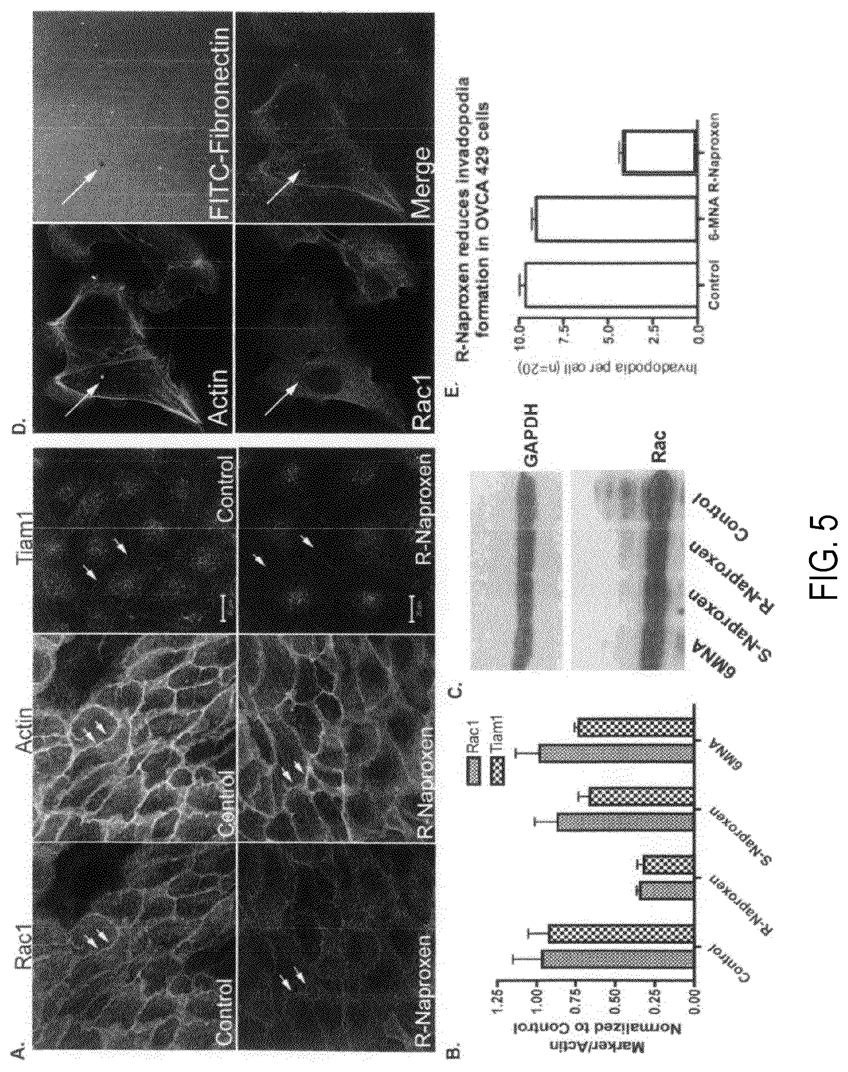 Patent US12377072 Figure 5 – Modulators of GTPases and their use