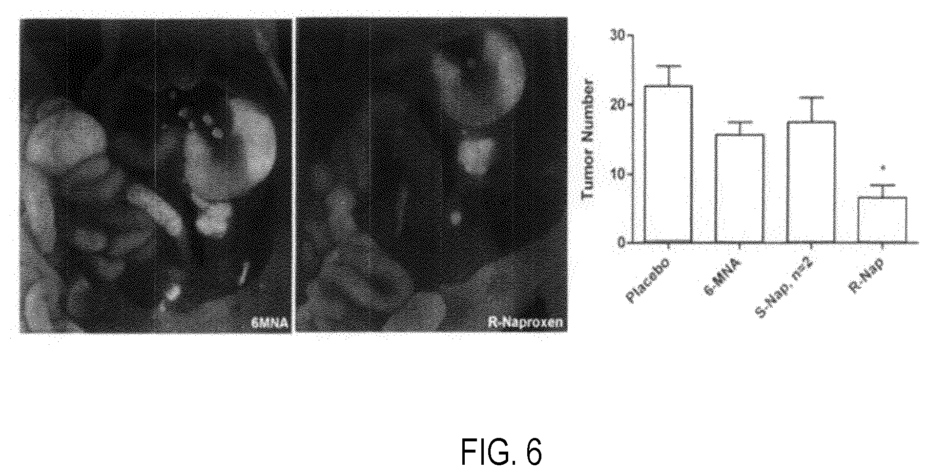 Patent US12377072 Figure 6 – Modulators of GTPases and their use