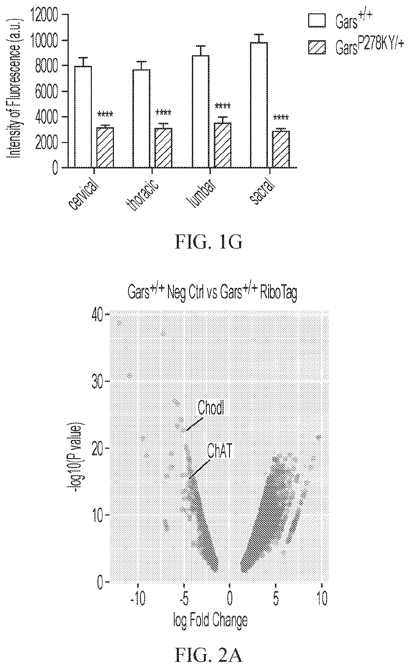 Patent US12377073 Figure 3 – Treatments for charcot-marie-tooth disease