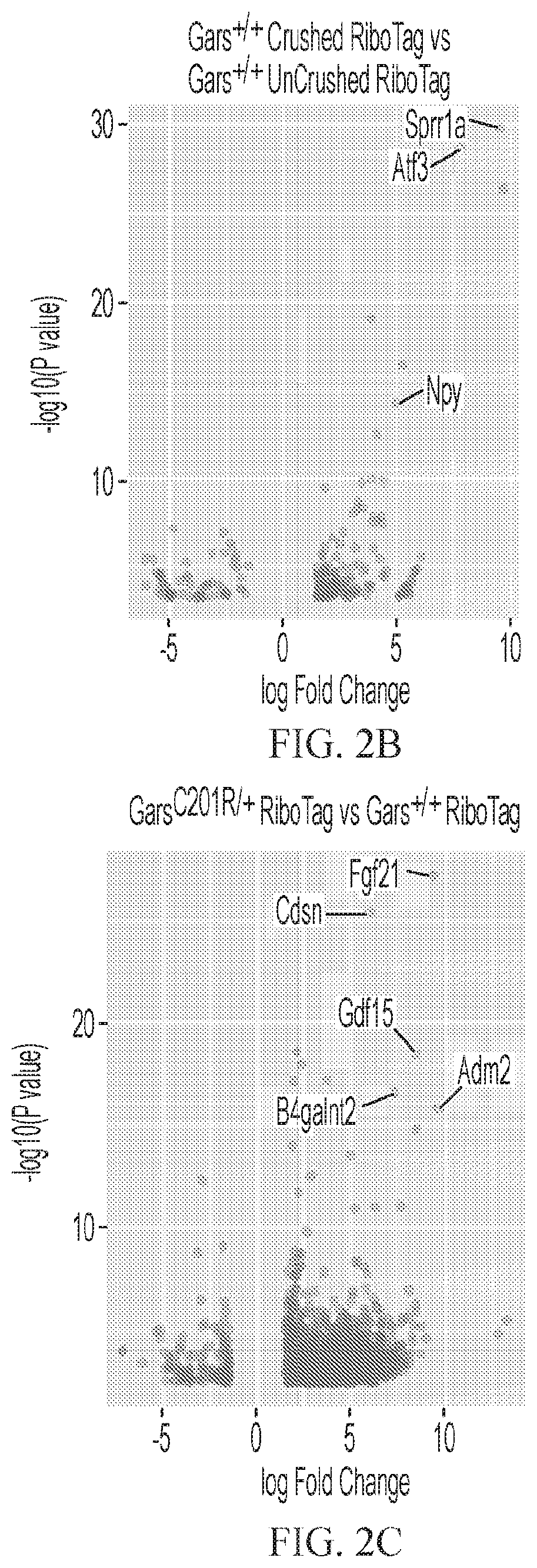 Patent US12377073 Figure 4 – Treatments for charcot-marie-tooth disease