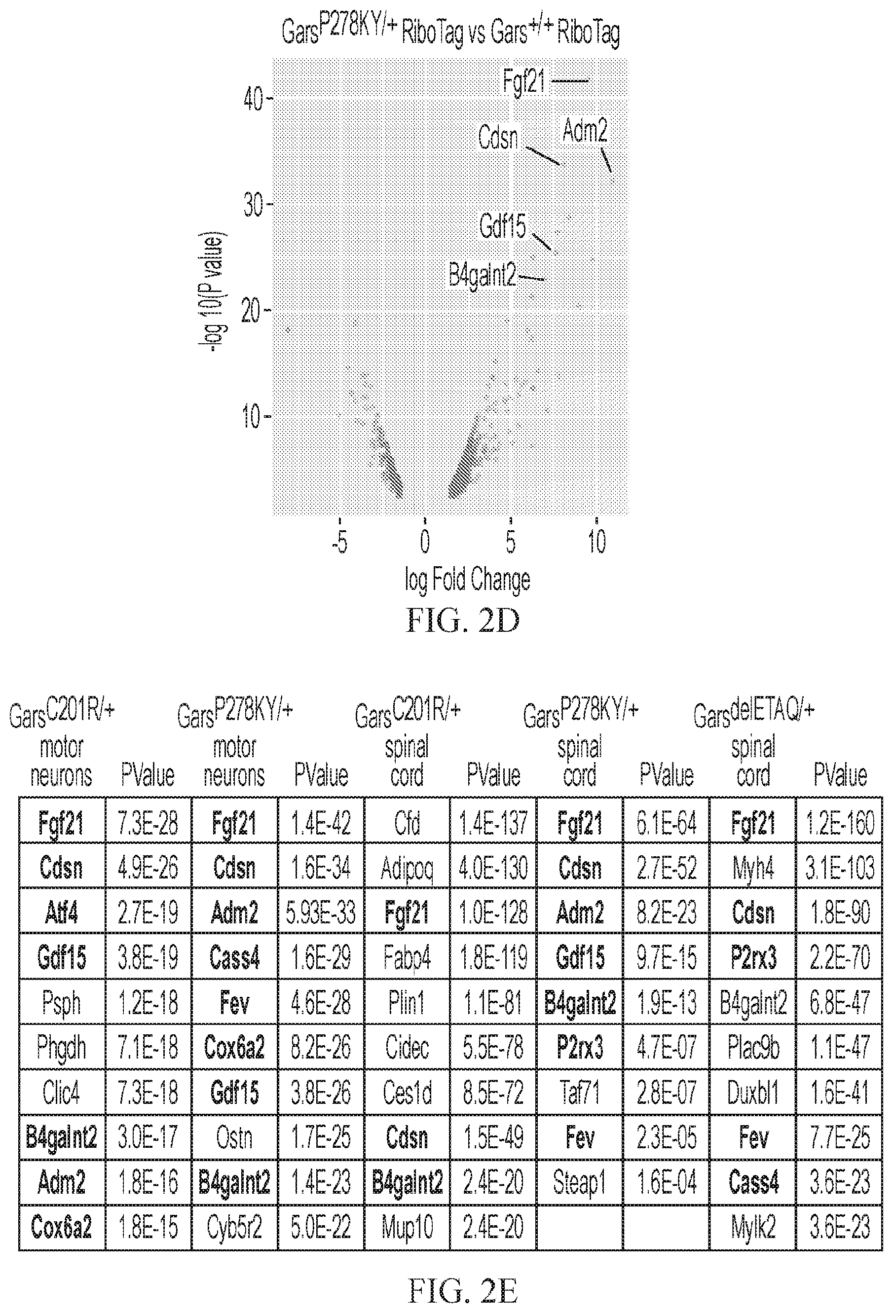Patent US12377073 Figure 5 – Treatments for charcot-marie-tooth disease