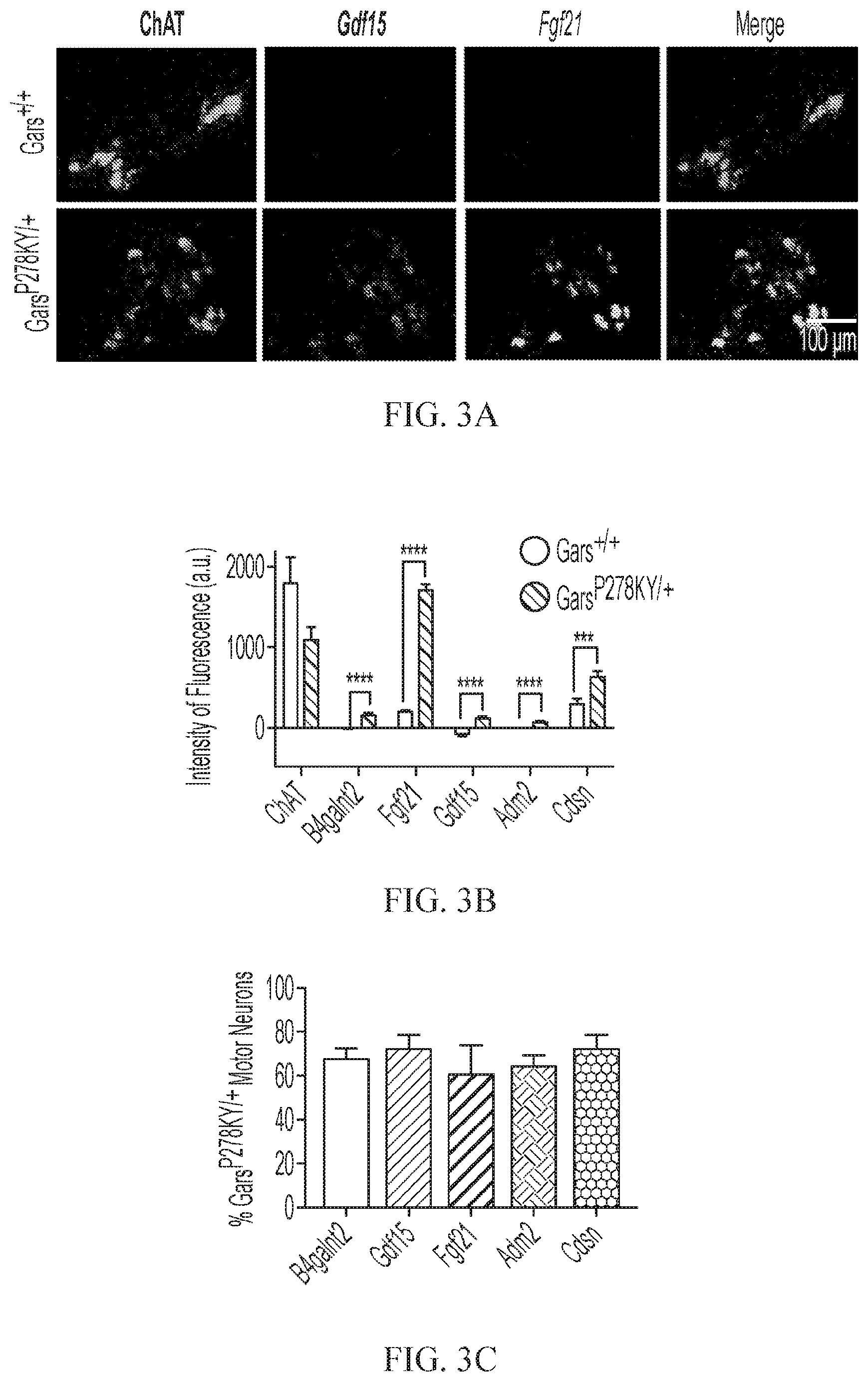 Patent US12377073 Figure 6 – Treatments for charcot-marie-tooth disease