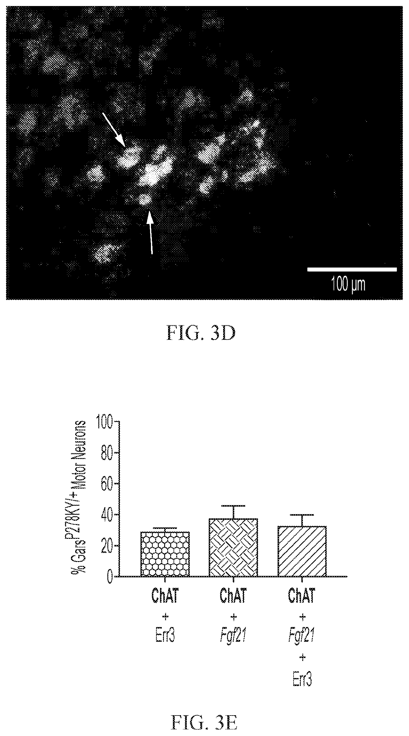 Patent US12377073 Figure 7 – Treatments for charcot-marie-tooth disease