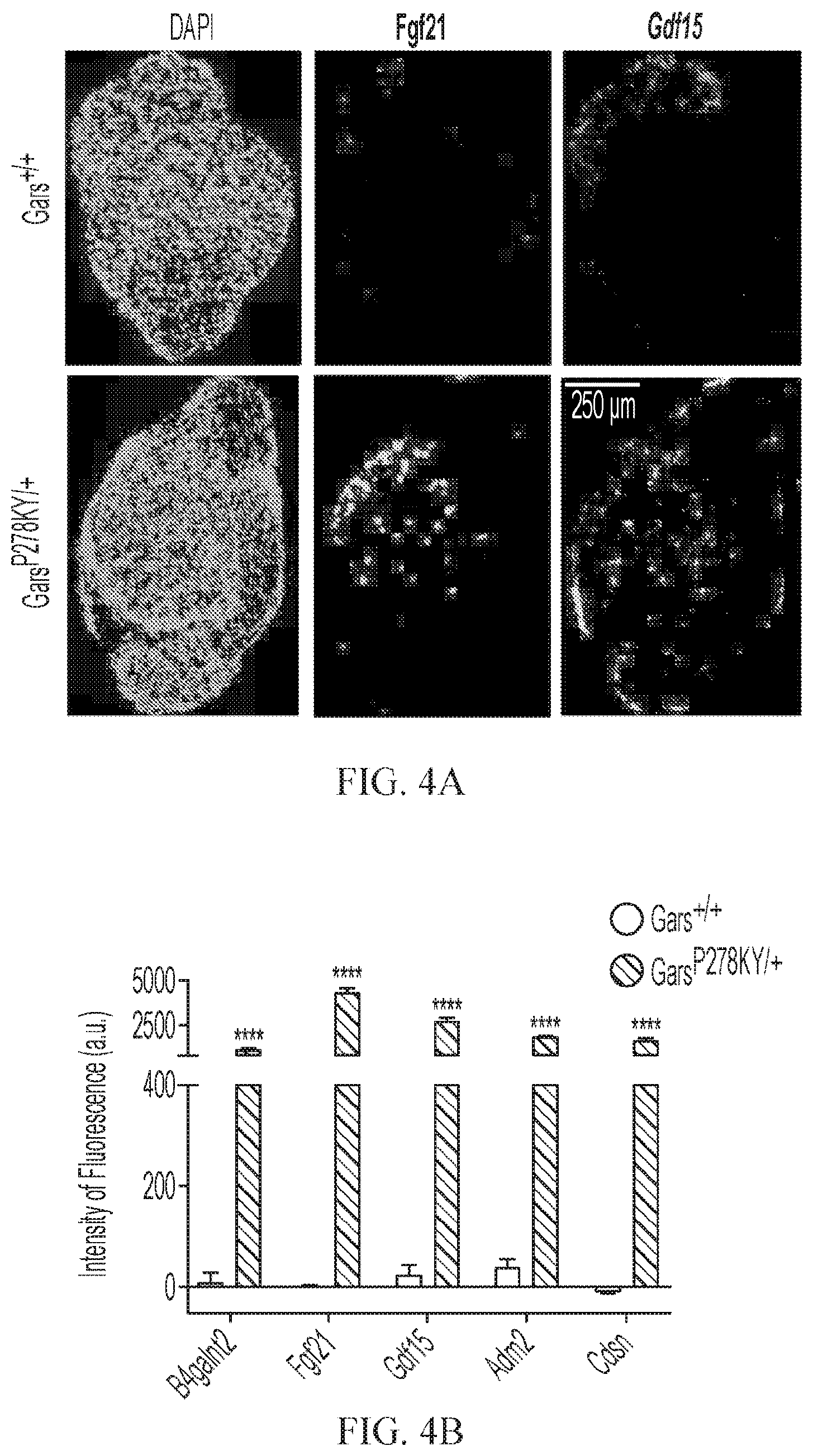Patent US12377073 Figure 8 – Treatments for charcot-marie-tooth disease