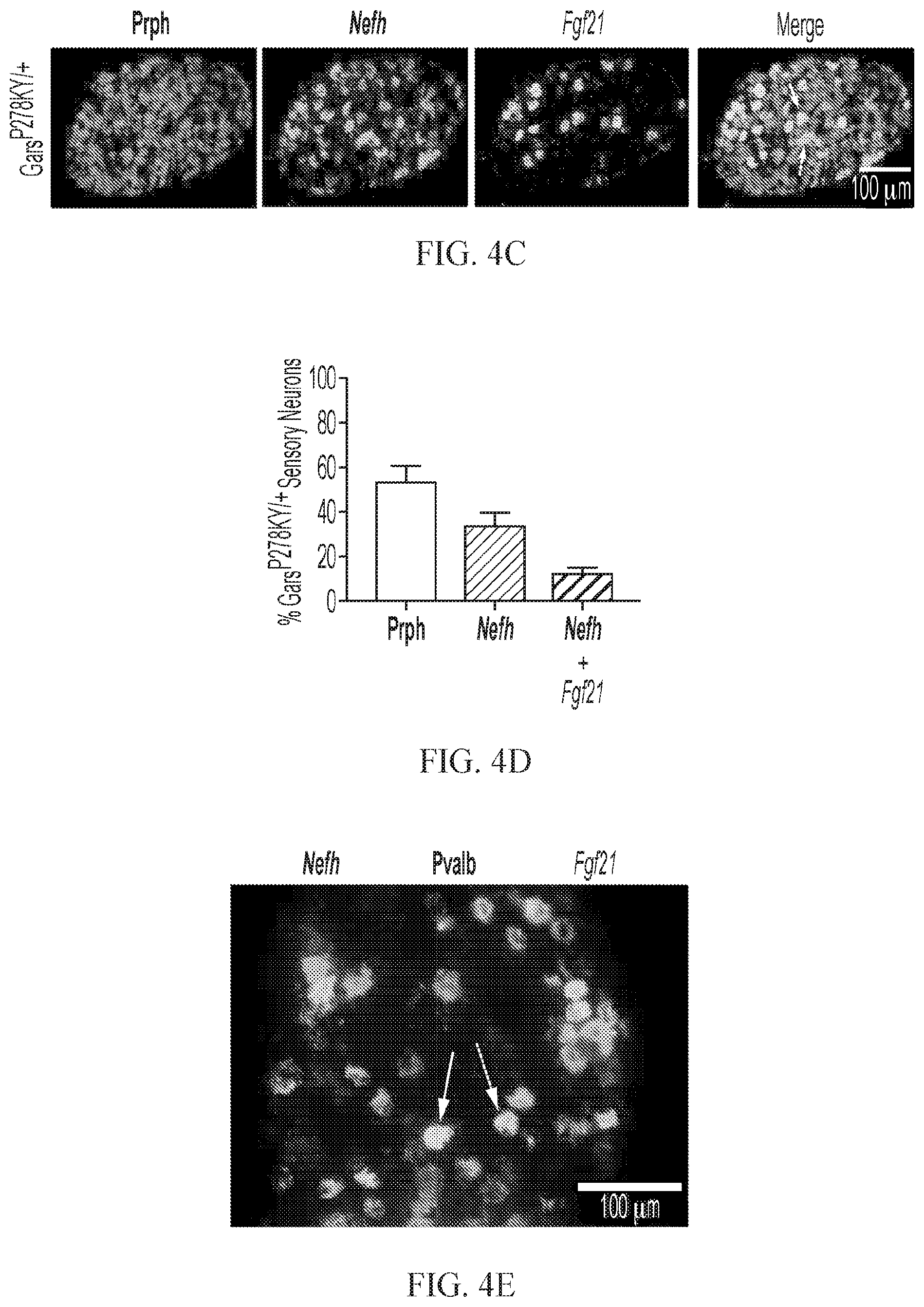 Patent US12377073 Figure 9 – Treatments for charcot-marie-tooth disease