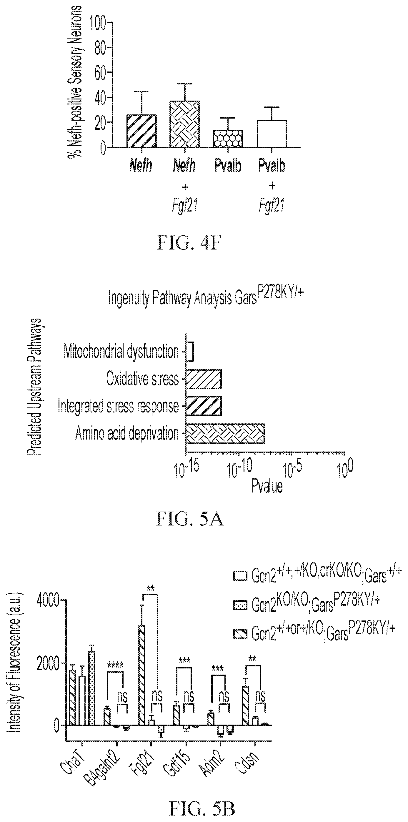 Patent US12377073 Figure 10 – Treatments for charcot-marie-tooth disease