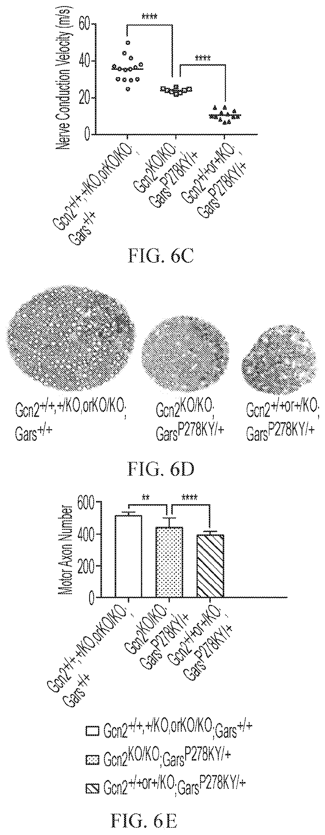 Patent US12377073 Figure 12 – Treatments for charcot-marie-tooth disease