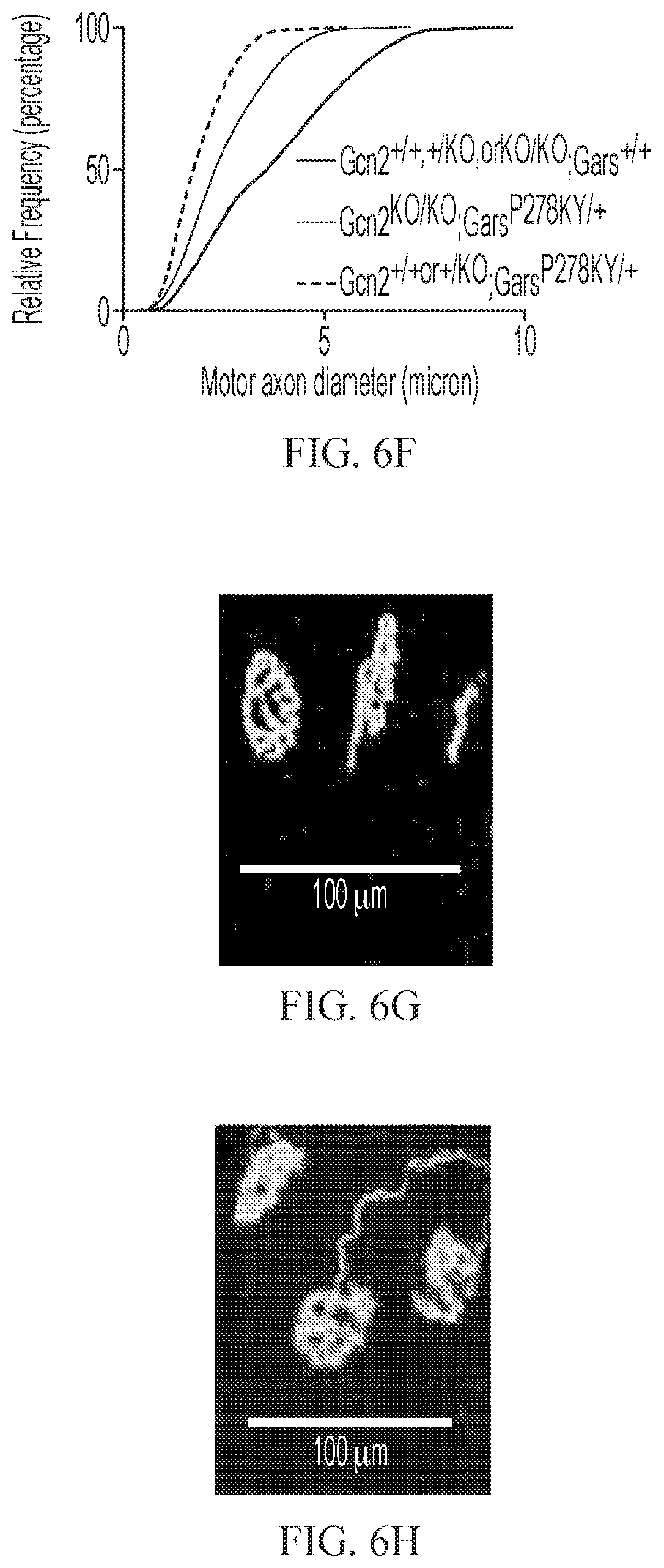 Patent US12377073 Figure 13 – Treatments for charcot-marie-tooth disease