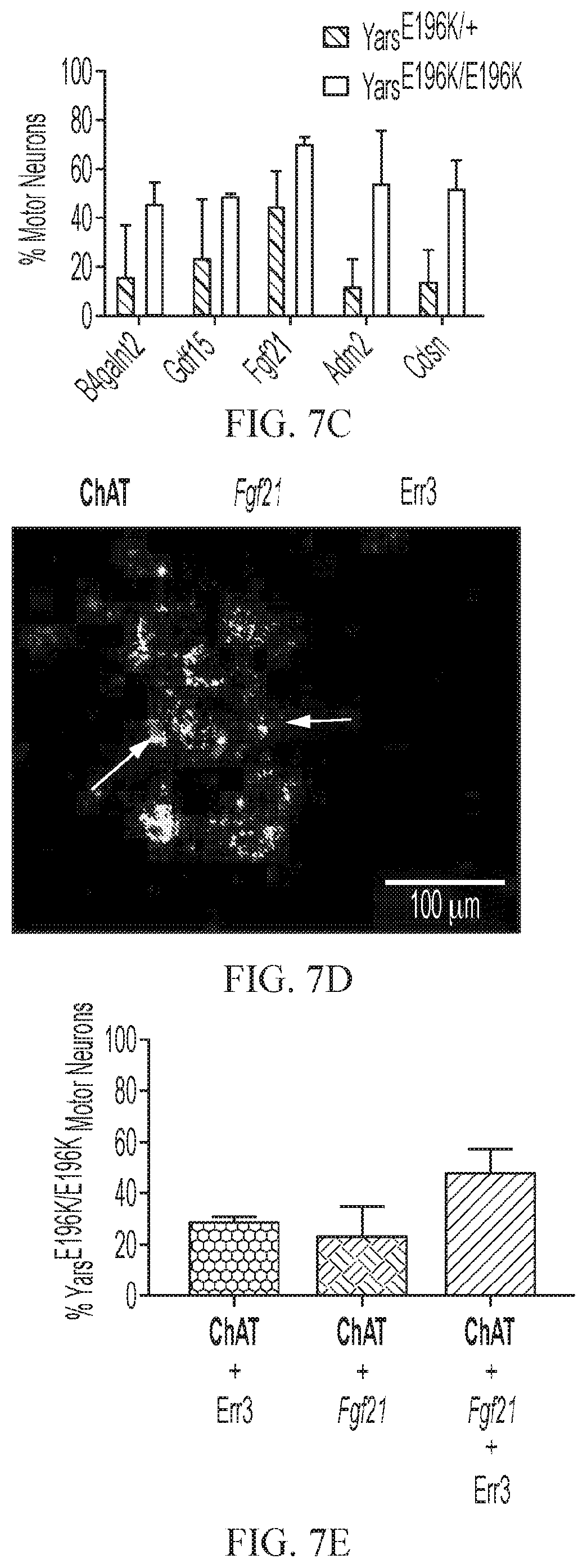 Patent US12377073 Figure 16 – Treatments for charcot-marie-tooth disease