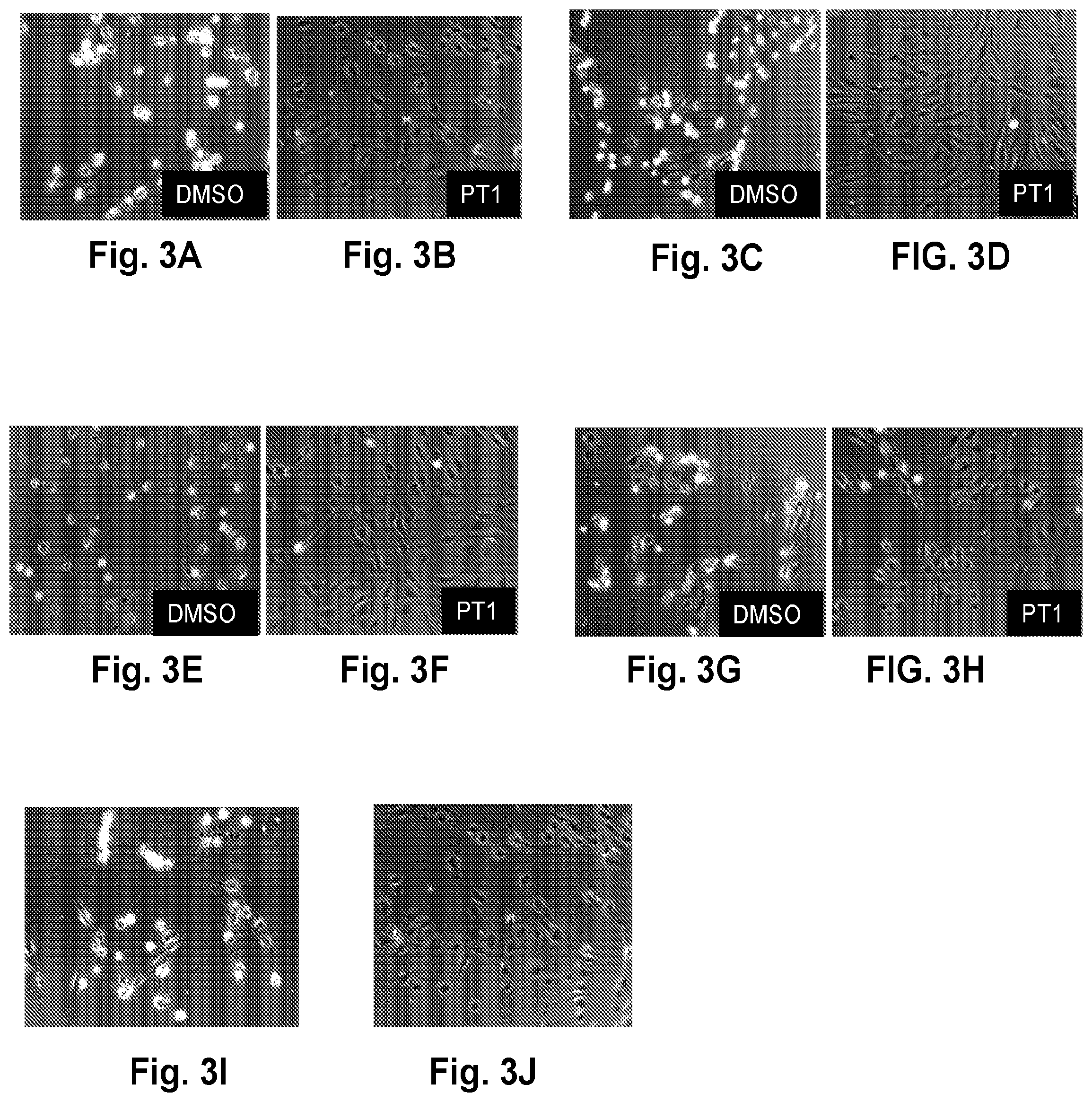 Patent US12377077 Figure 5 – Methods and formulations to treat mitochondrial dysfunction