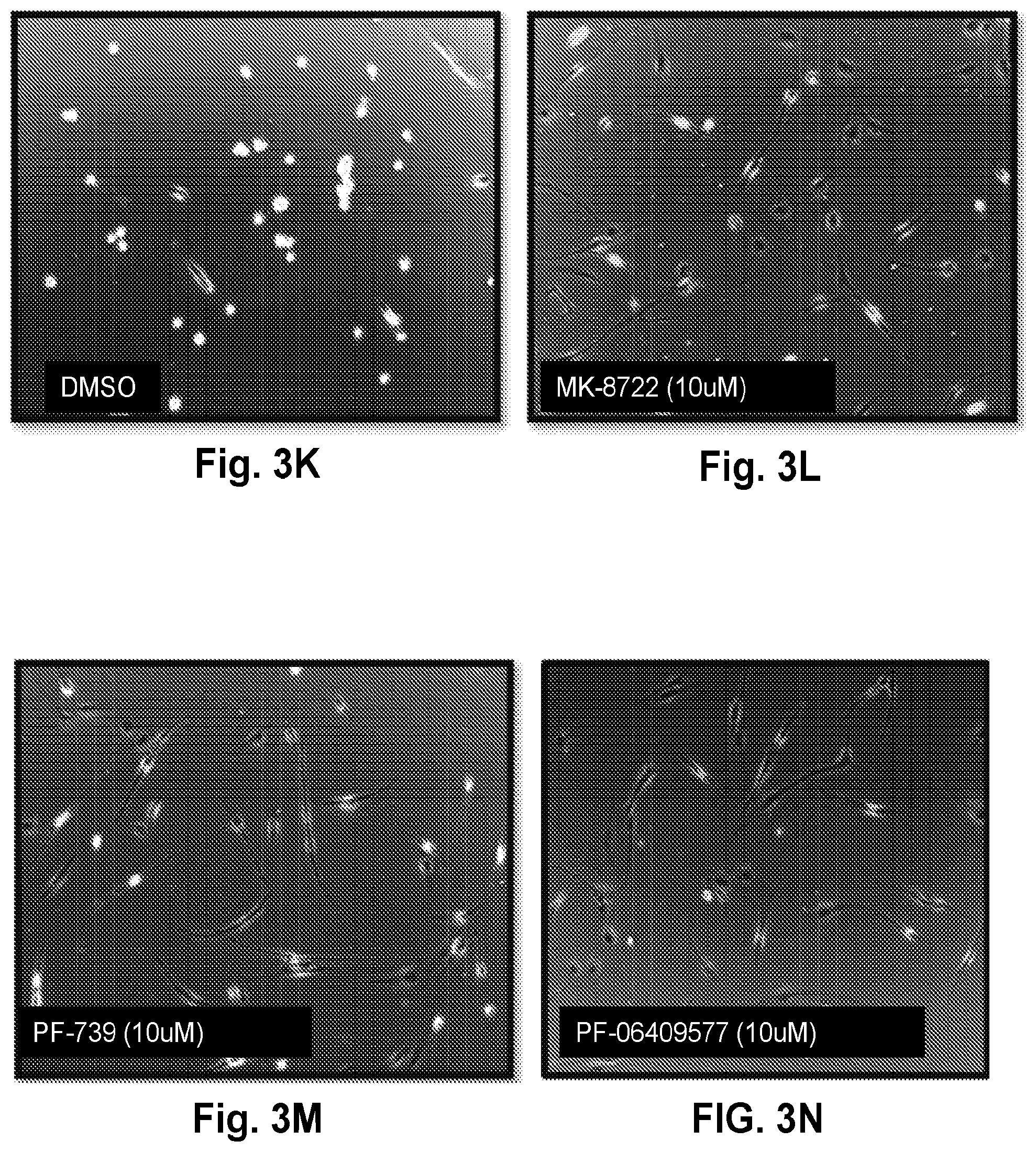 Patent US12377077 Figure 6 – Methods and formulations to treat mitochondrial dysfunction