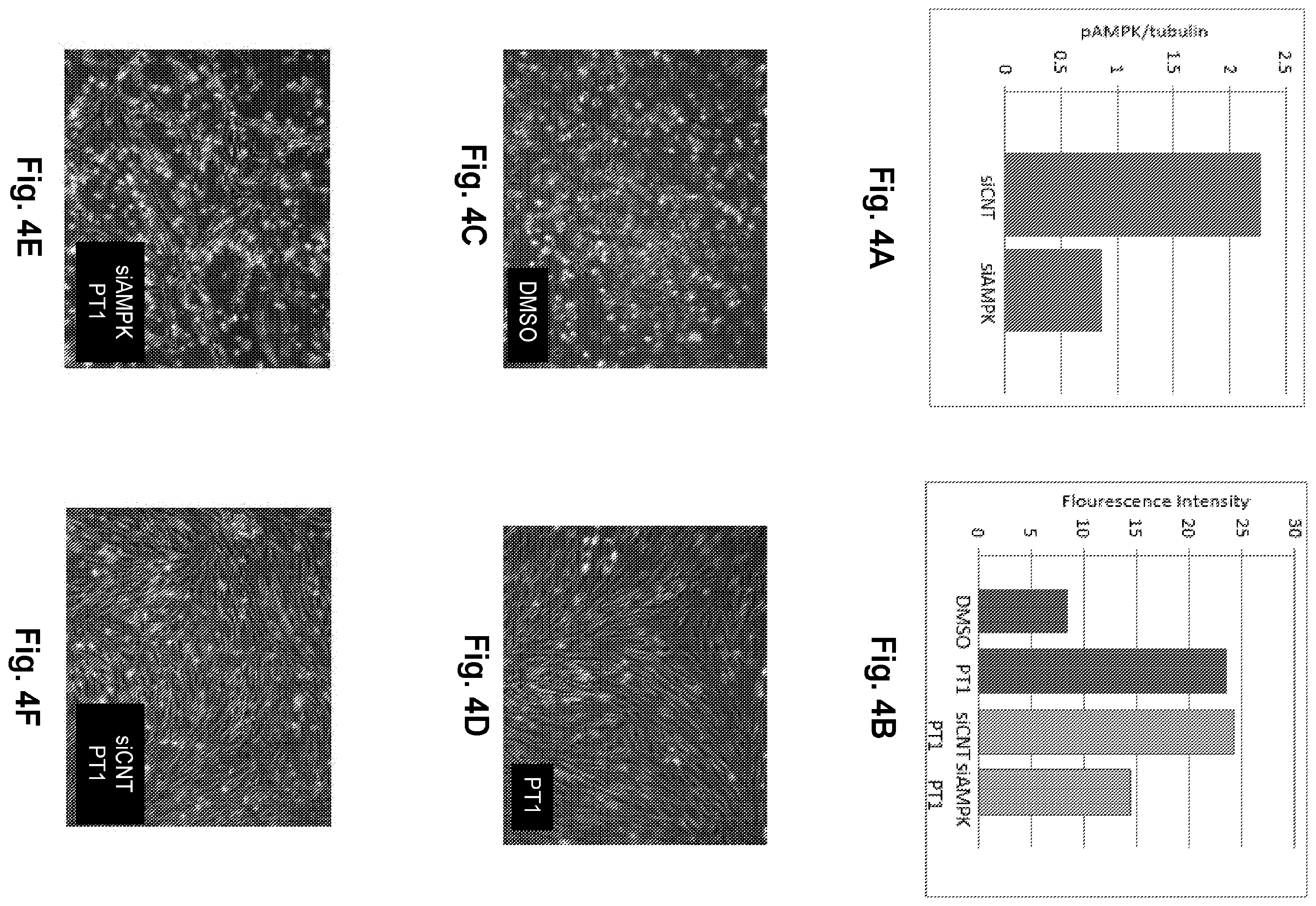 Patent US12377077 Figure 7 – Methods and formulations to treat mitochondrial dysfunction