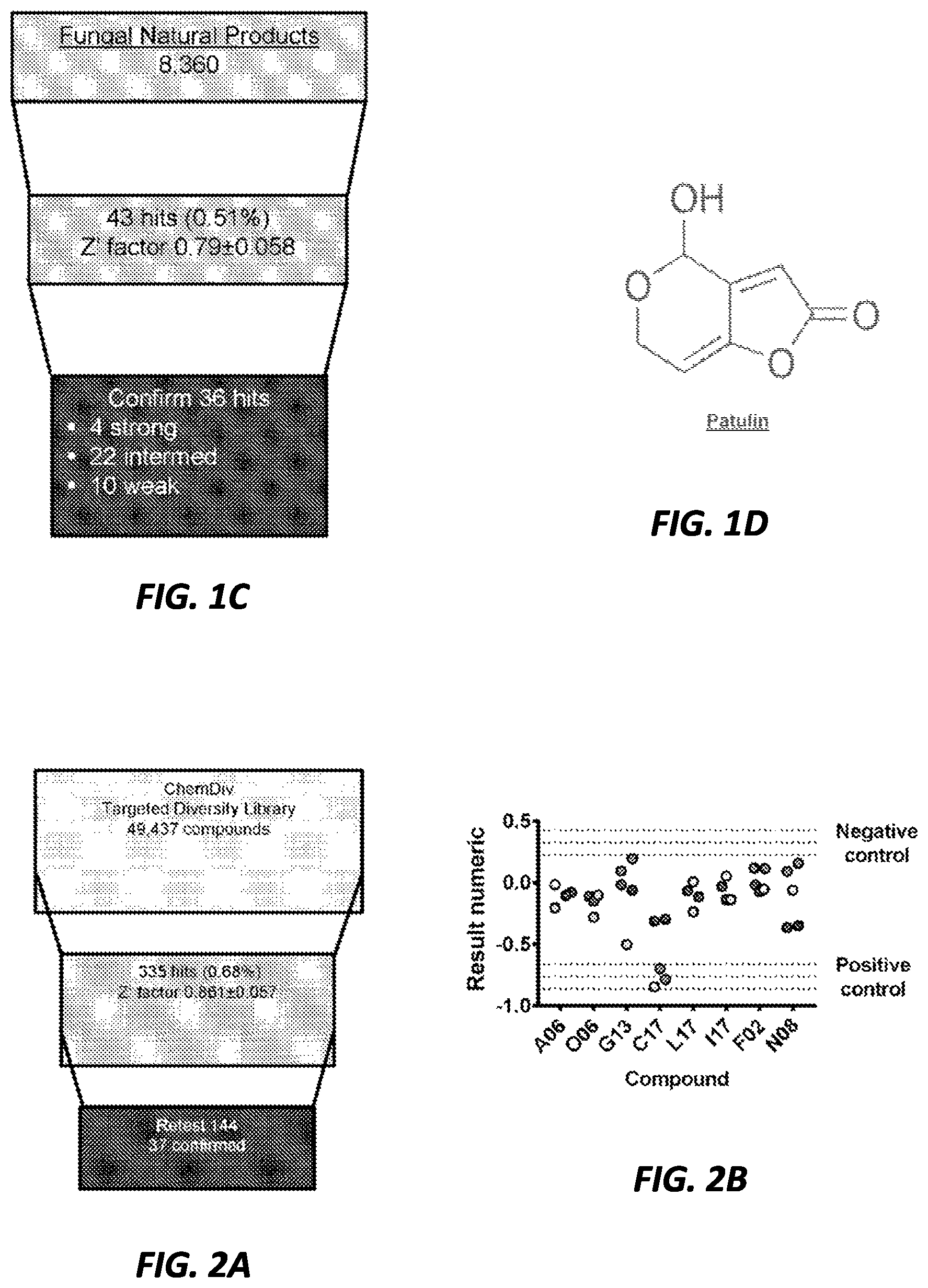 Patent US12377079 Figure 2 – Antibacterial compounds and uses thereof