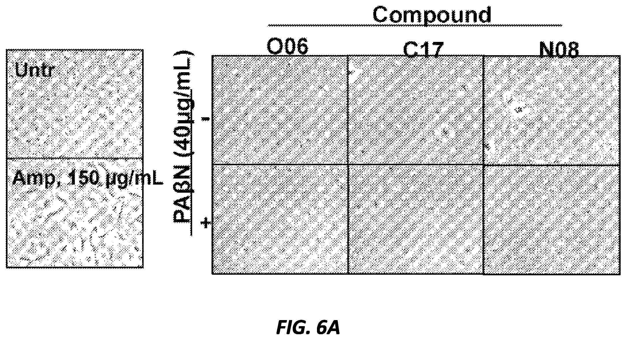 Patent US12377079 Figure 9 – Antibacterial compounds and uses thereof