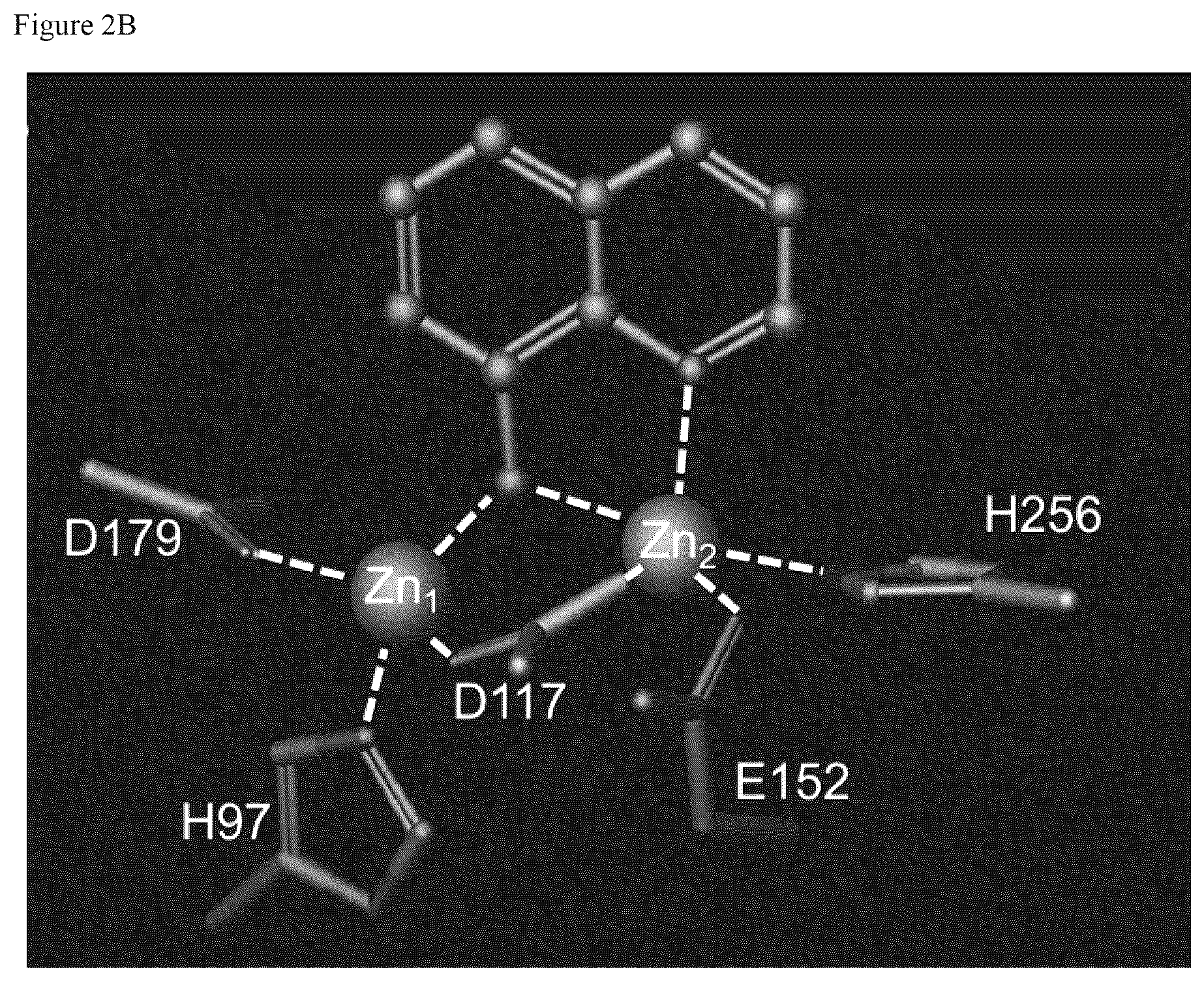 Patent US12377086 Figure 3 – Therapeutic methods, combinations and kits