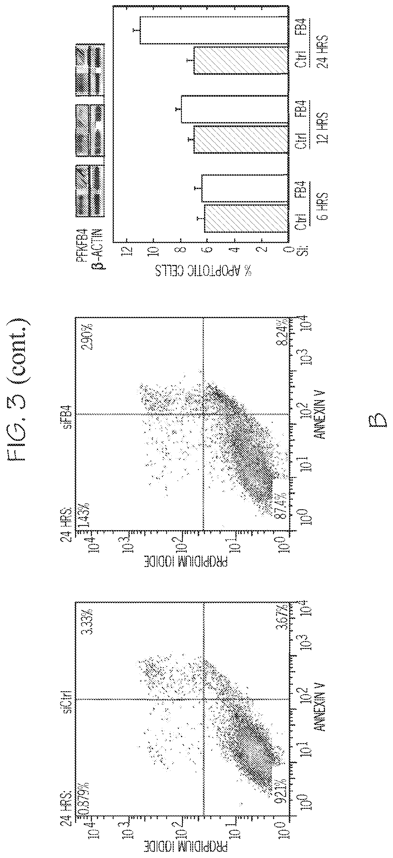 Patent US12377087 Figure 5 – Compounds for the treatment of cancer
