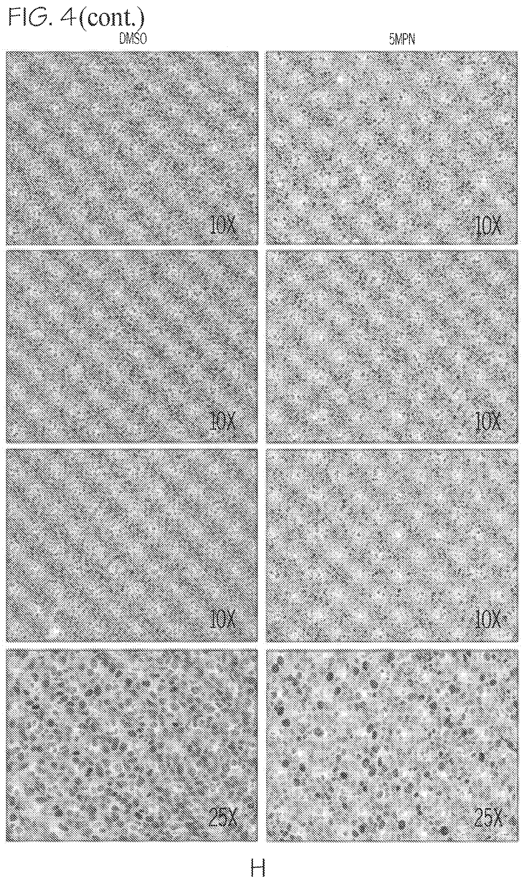 Patent US12377087 Figure 14 – Compounds for the treatment of cancer