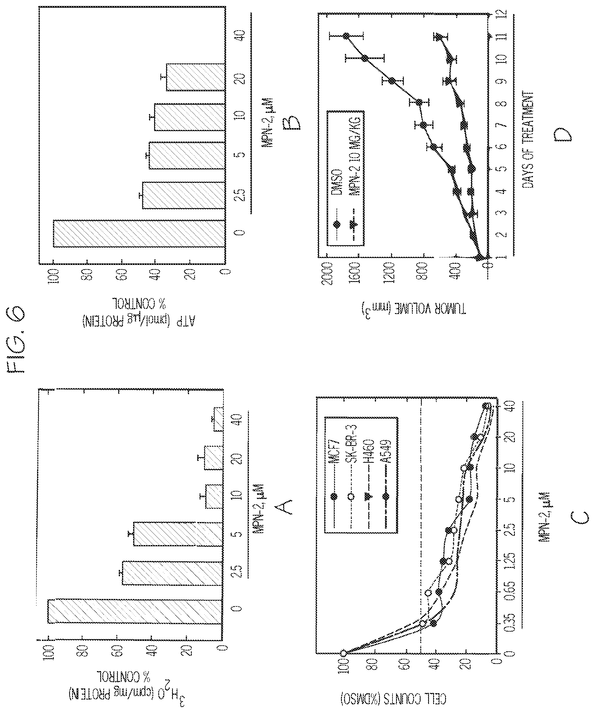 Patent US12377087 Figure 19 – Compounds for the treatment of cancer