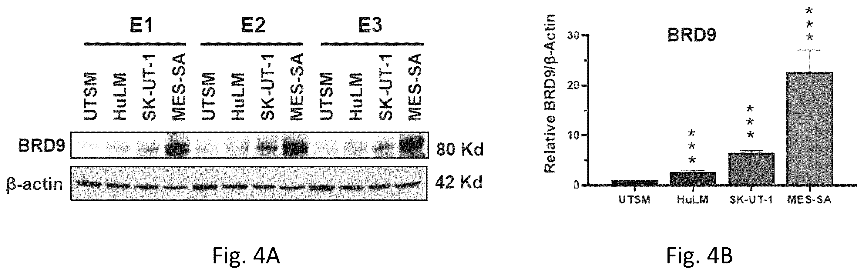 Patent US12377103 Figure 5 – Use of bromodomain-containing protein 9 inhibitors to treat and/or prevent uterine leiomyosarcoma