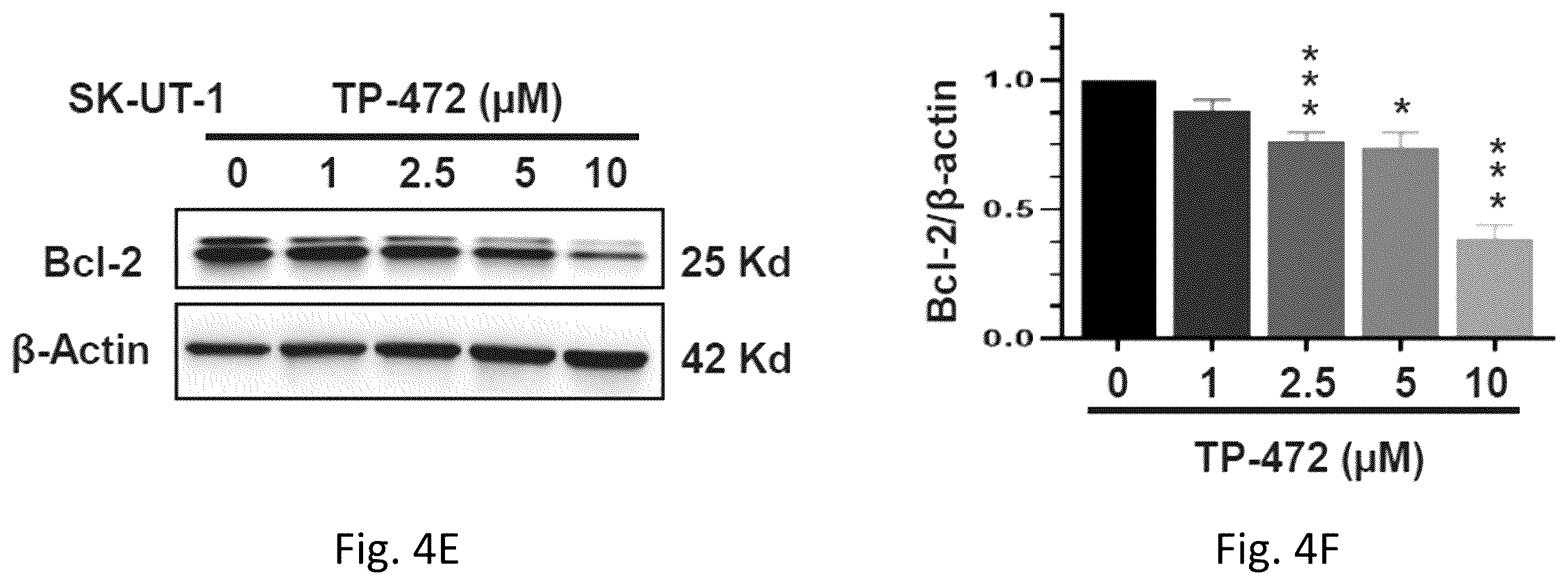 Patent US12377103 Figure 7 – Use of bromodomain-containing protein 9 inhibitors to treat and/or prevent uterine leiomyosarcoma