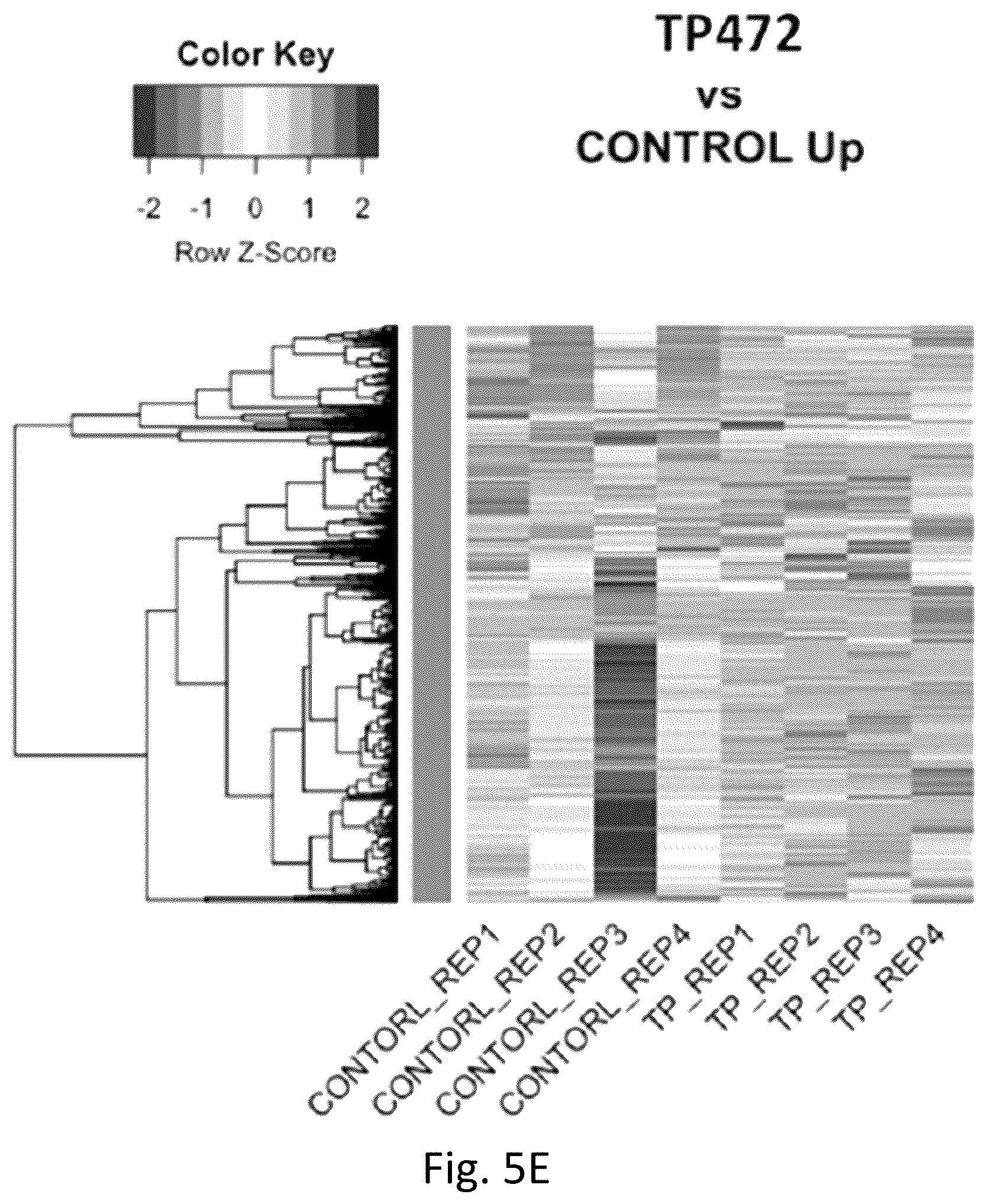 Patent US12377103 Figure 11 – Use of bromodomain-containing protein 9 inhibitors to treat and/or prevent uterine leiomyosarcoma