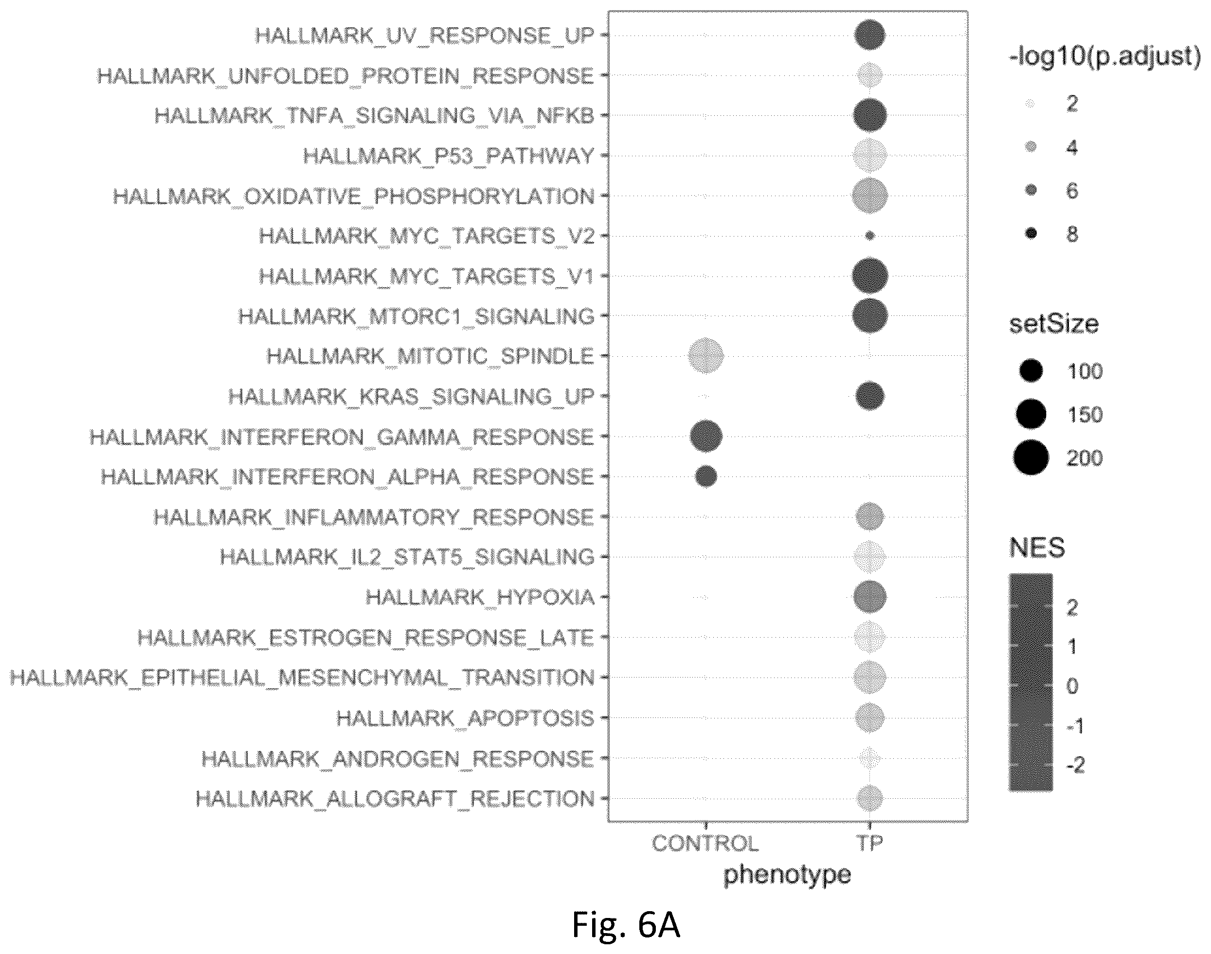 Patent US12377103 Figure 13 – Use of bromodomain-containing protein 9 inhibitors to treat and/or prevent uterine leiomyosarcoma