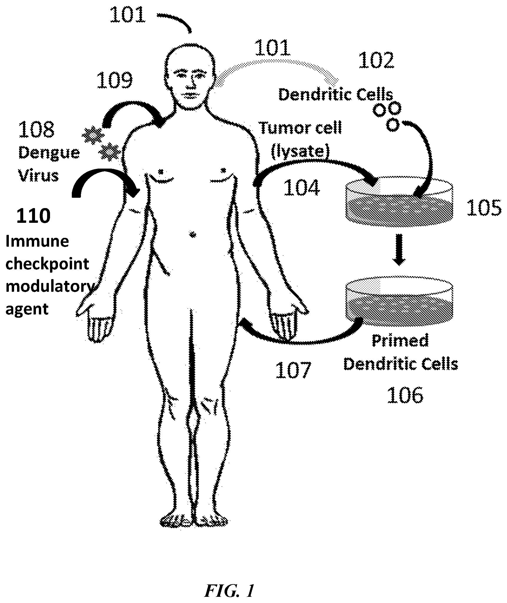 Patent US12377115 Figure 1 – Combination immunotherapies for treatment of cancer