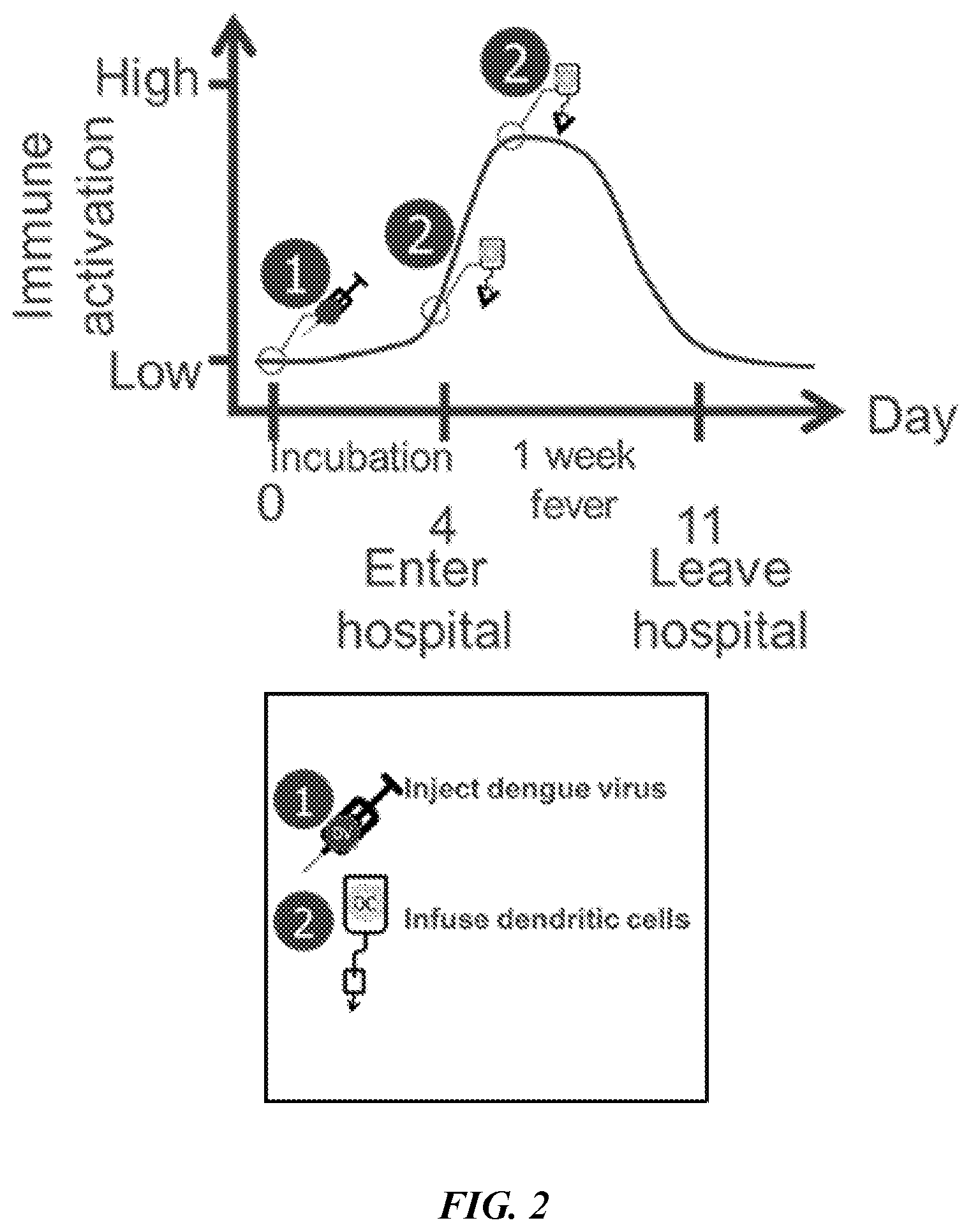 Patent US12377115 Figure 2 – Combination immunotherapies for treatment of cancer