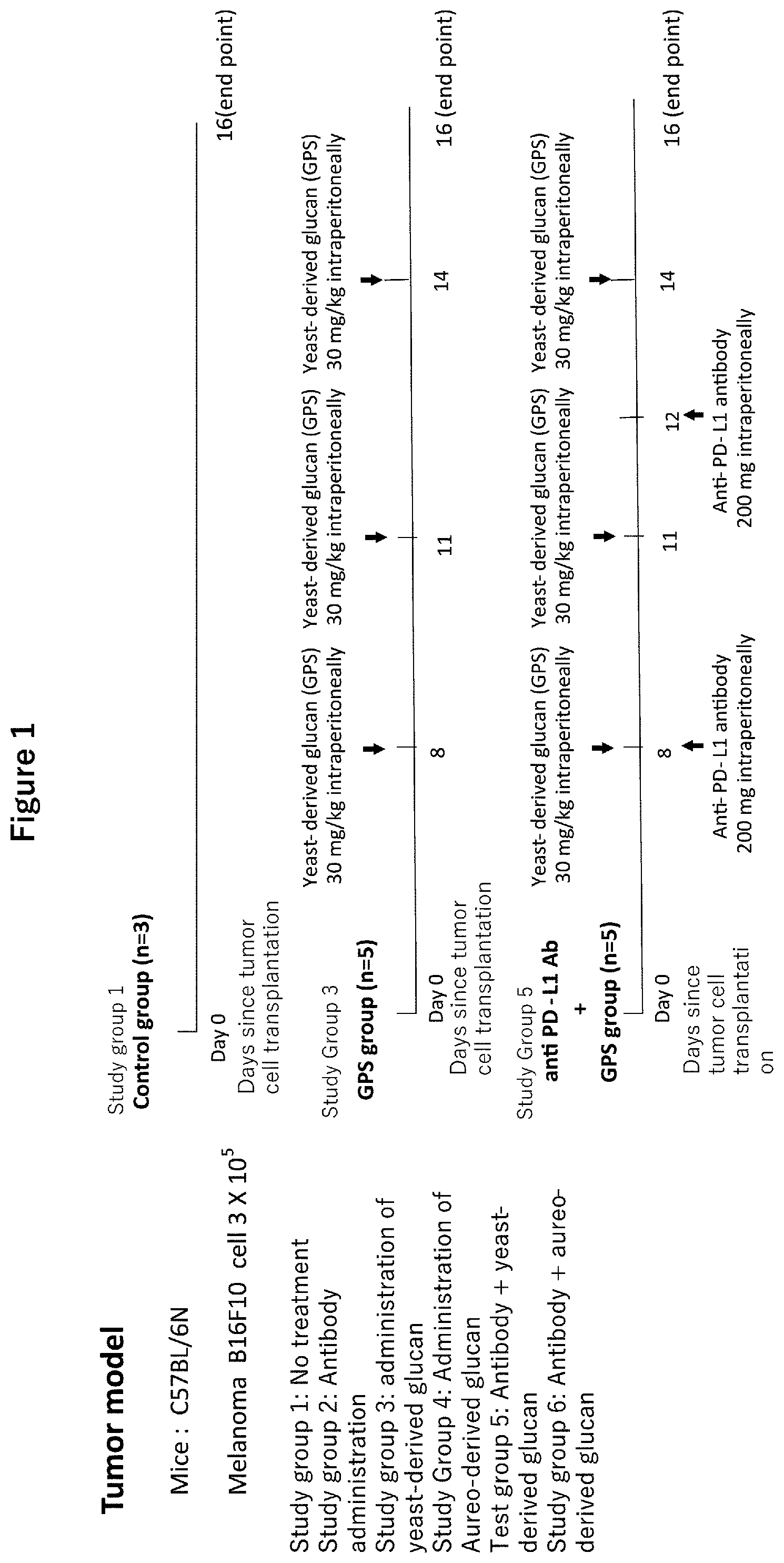 Patent US12377116 Figure 1 – Composition for enhancing effect of antibody drug