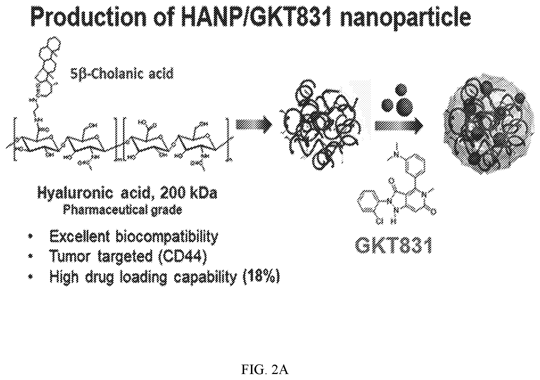 Patent US12377117 Figure 2 – Hyaluronic acid nanoparticles comprising NADPH oxidases inhibitors and uses in treating cancer