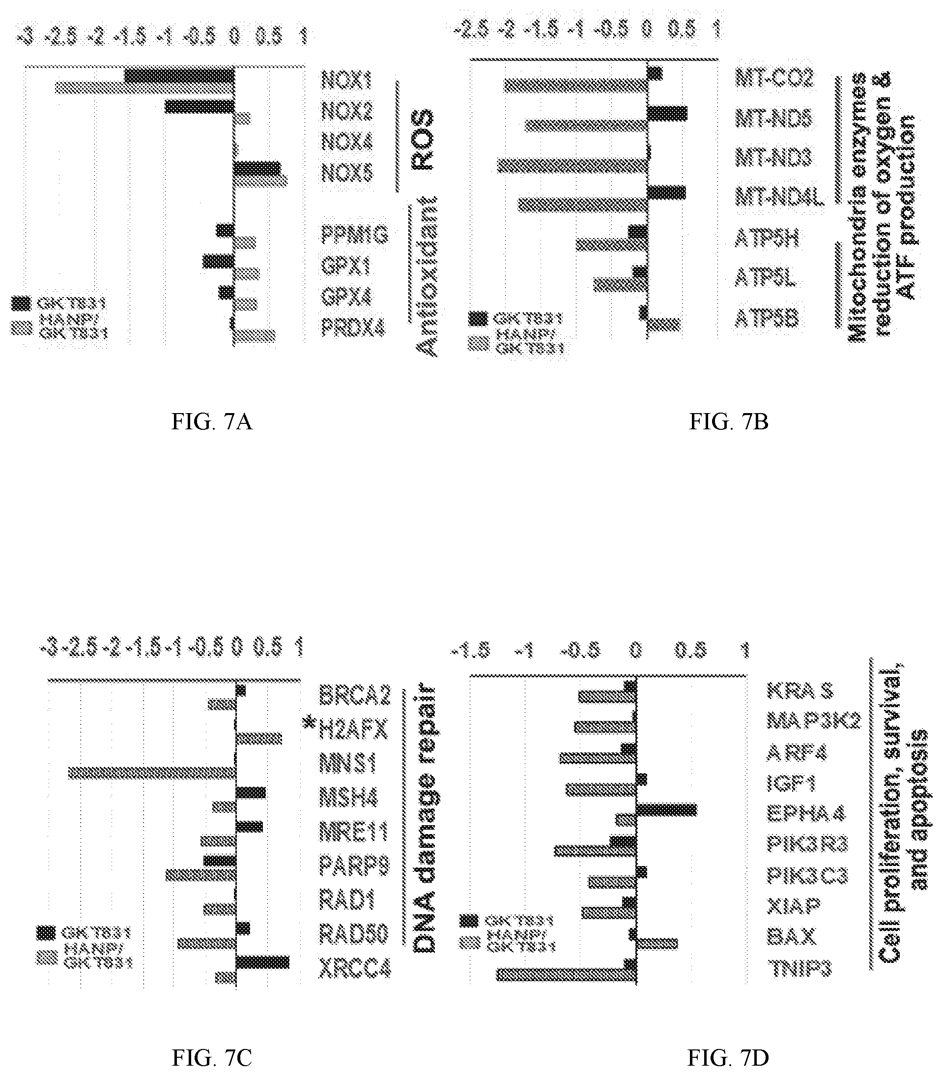 Patent US12377117 Figure 9 – Hyaluronic acid nanoparticles comprising NADPH oxidases inhibitors and uses in treating cancer