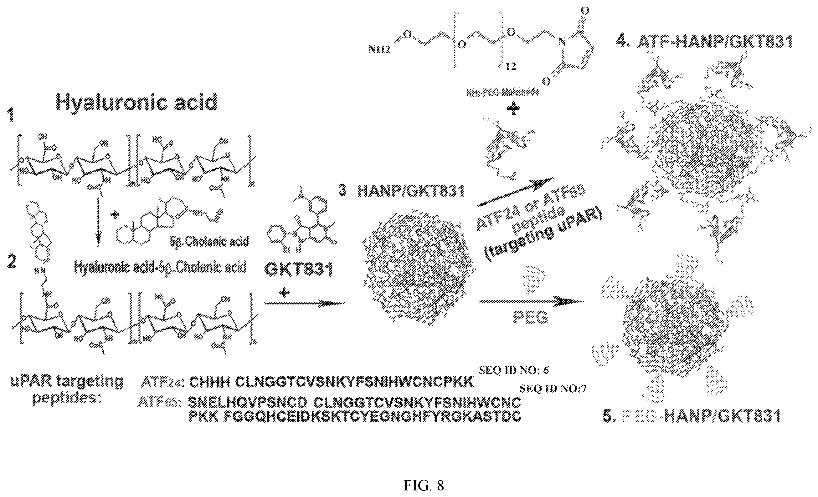 Patent US12377117 Figure 10 – Hyaluronic acid nanoparticles comprising NADPH oxidases inhibitors and uses in treating cancer