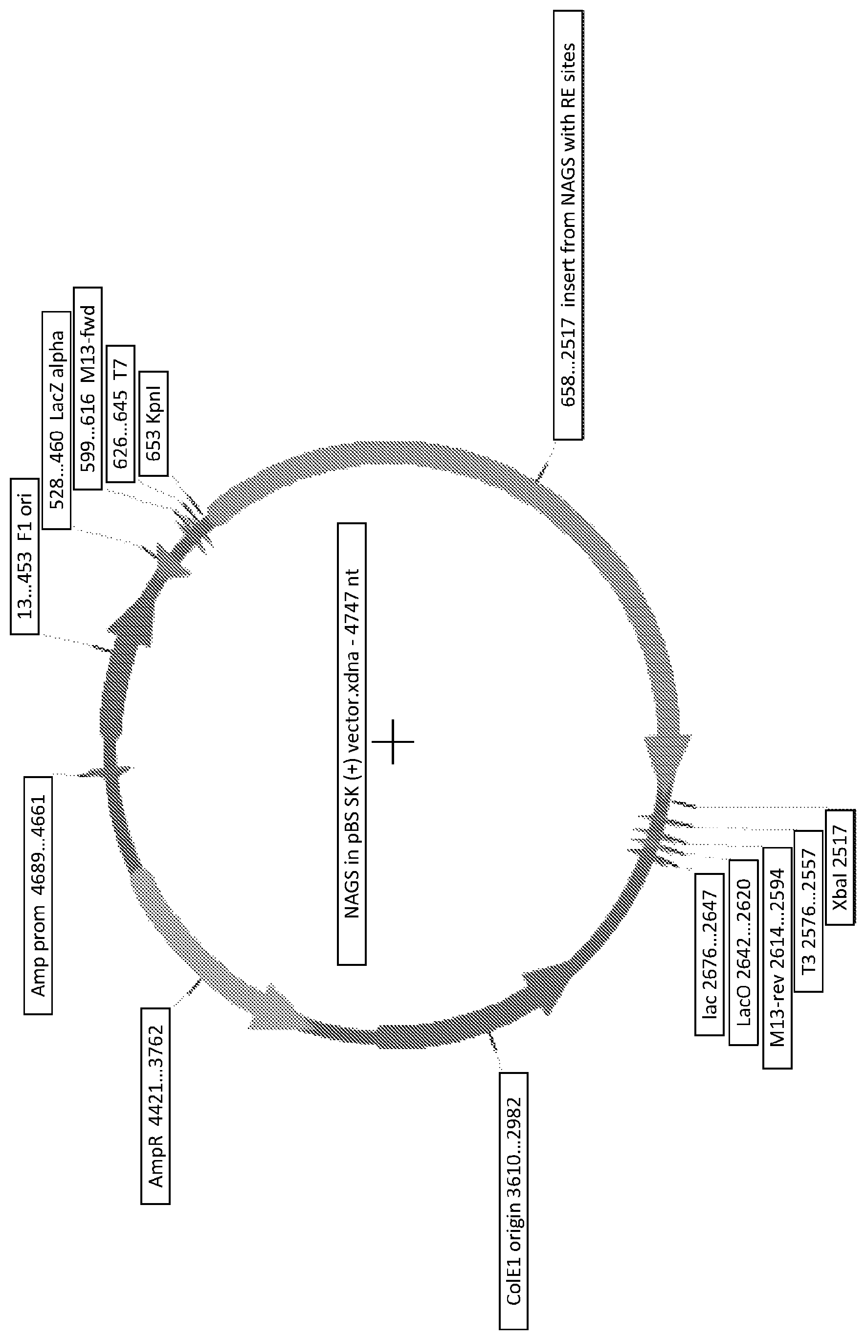 Patent US12377120 Figure 1 – Exosomes and methods of use thereof