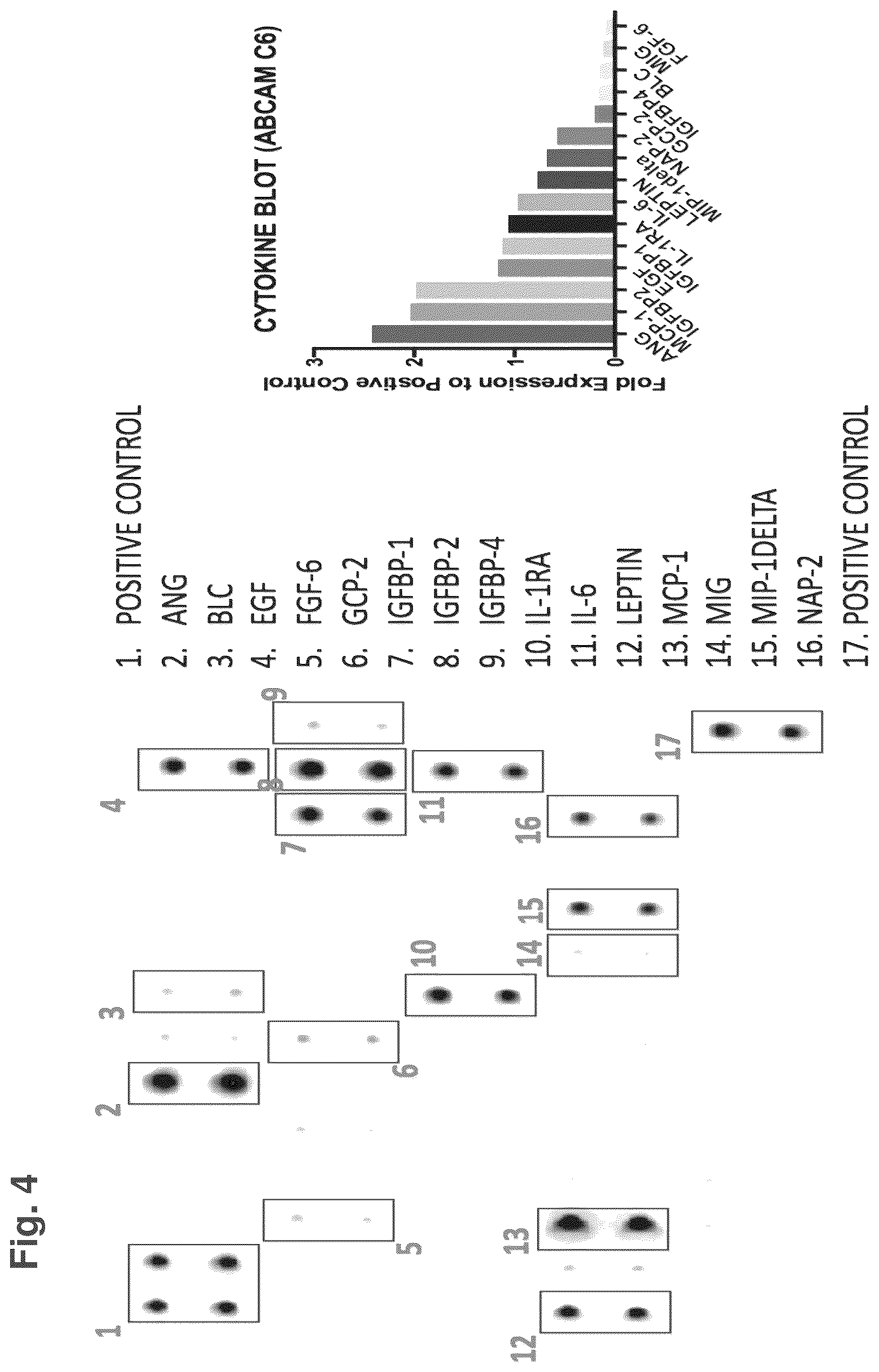 Patent US12377121 Figure 4 – Compositions comprising nanoparticles, method of making and uses thereof