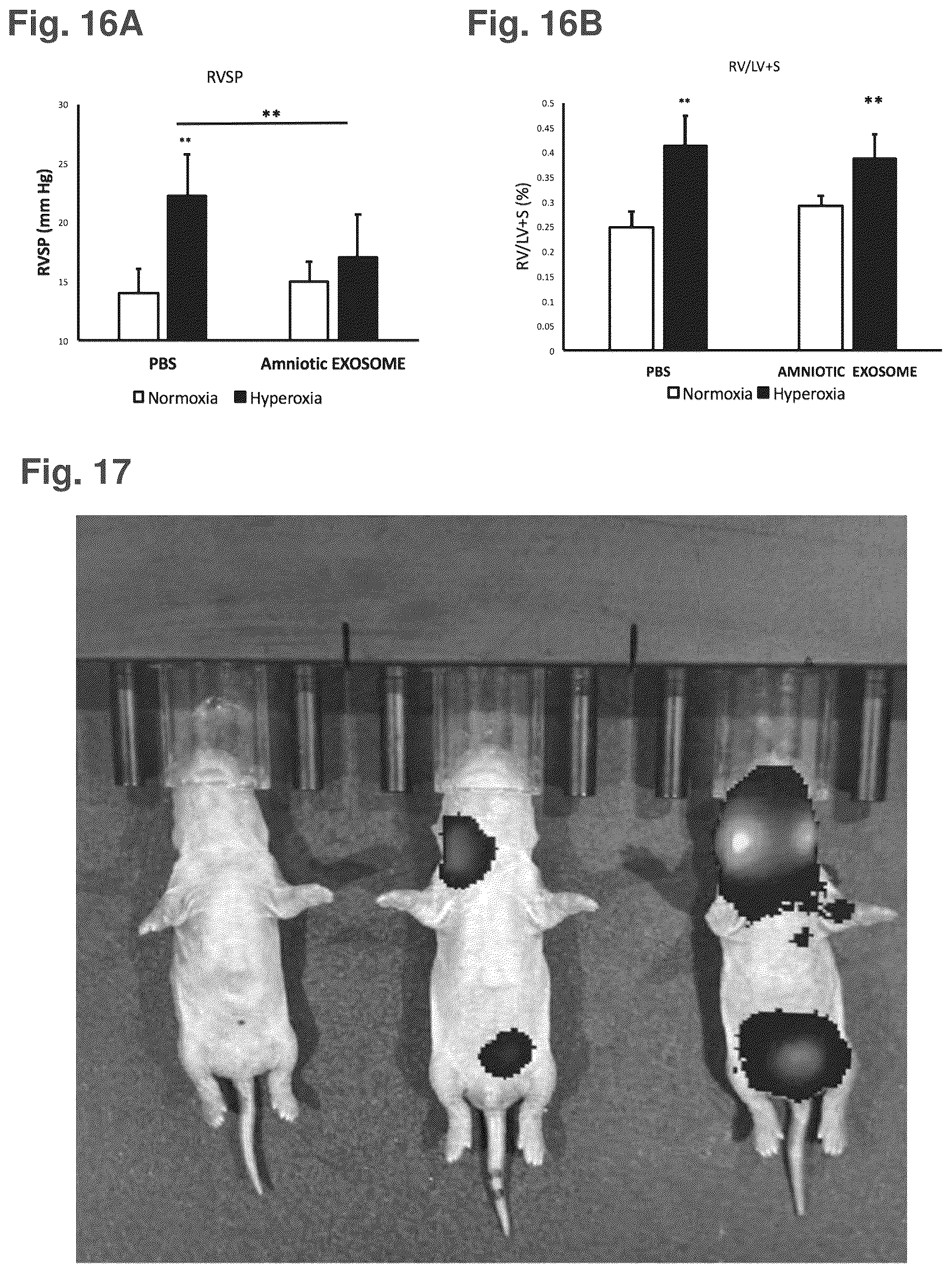 Patent US12377121 Figure 15 – Compositions comprising nanoparticles, method of making and uses thereof