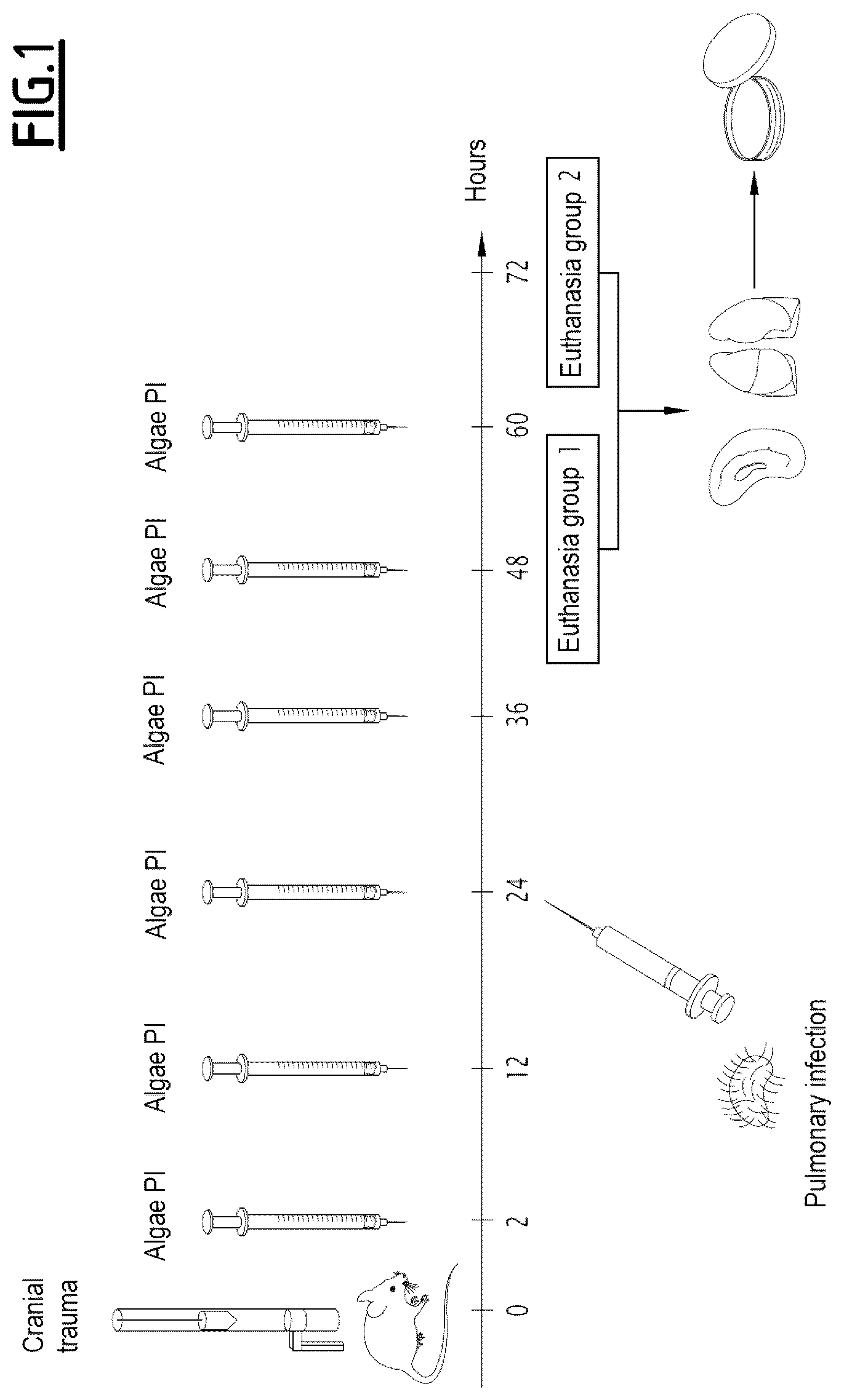 Patent US12377126 — Algal extract for use in the treatment or prevention of post-traumatic immunosuppression — Figure 1